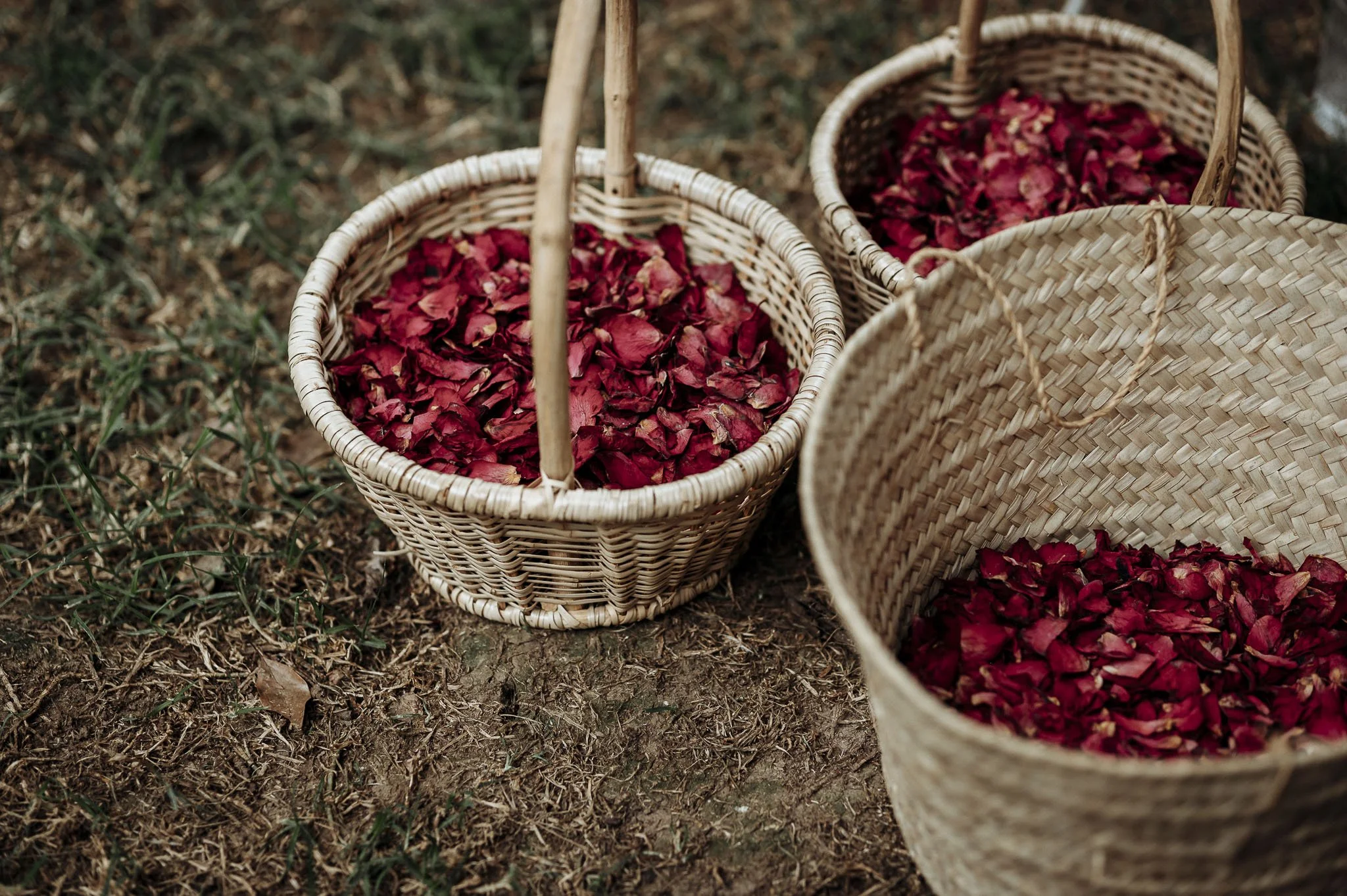 CrazyLittleThingPhotography. GavinvanhaghtPhotography-363.JPG