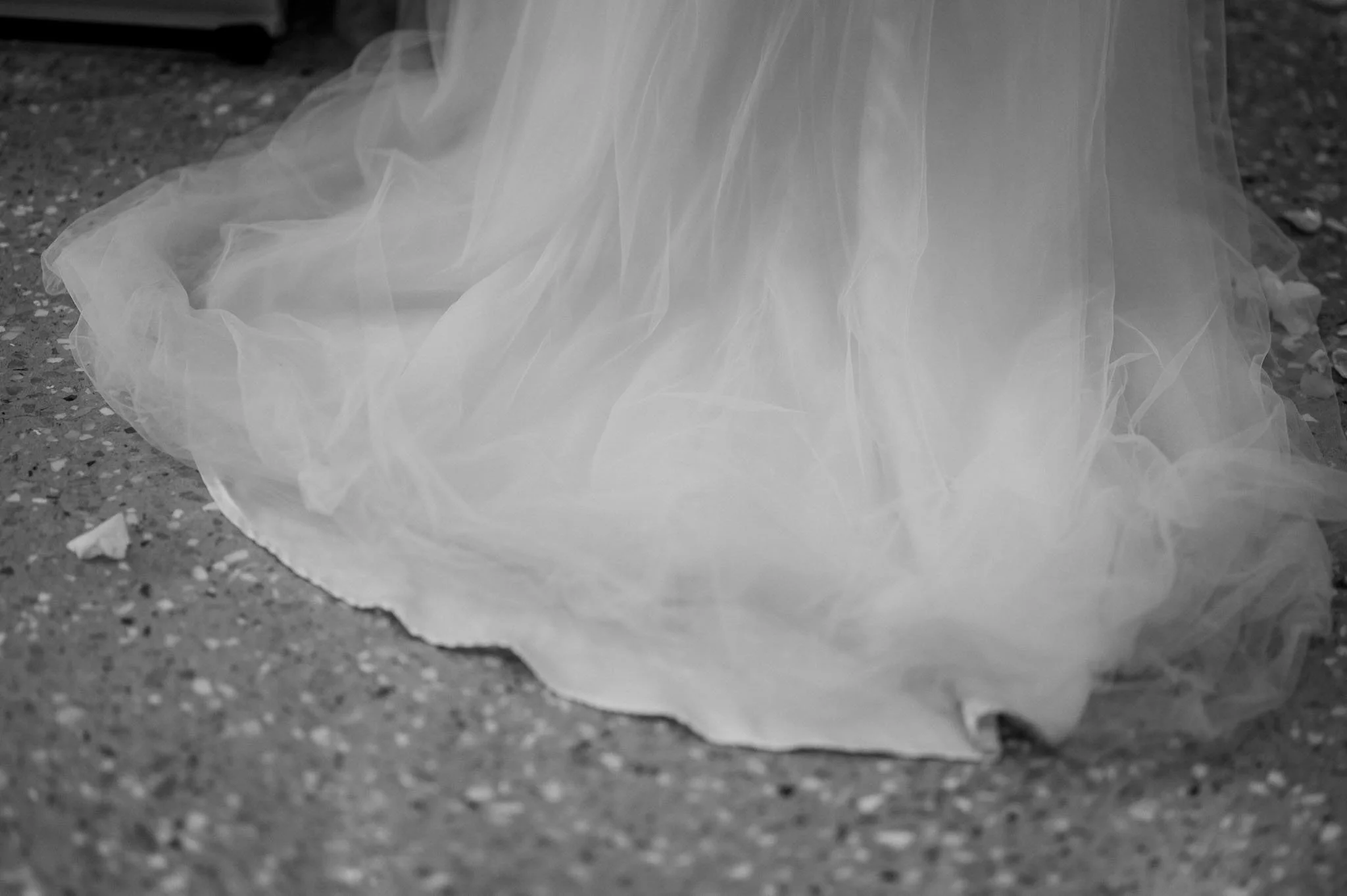 GavinvanHaght.Photography. Crazylittlethingphotography-456.jpg