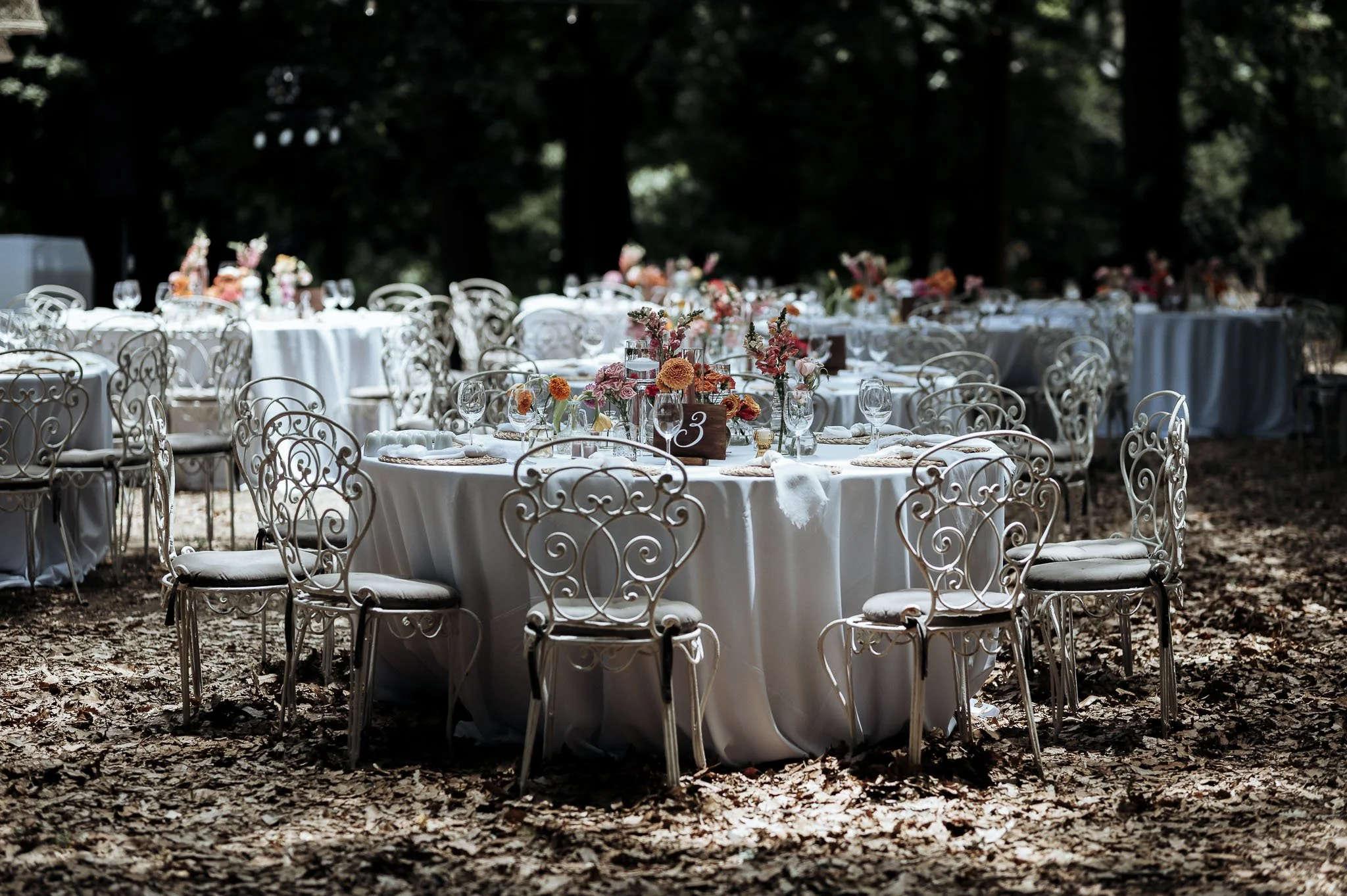 CrazyLittleThingPhotography. GavinvanhaghtPhotography-1.JPG