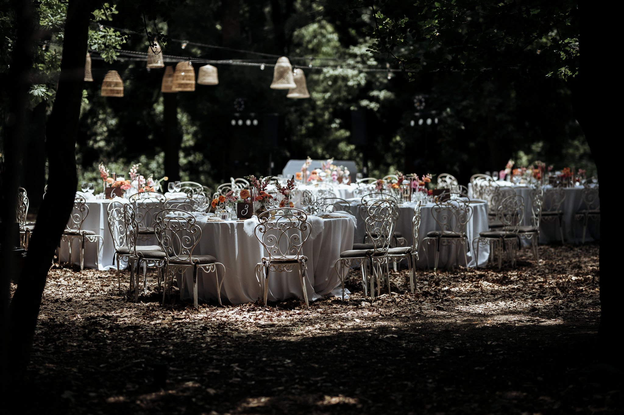 CrazyLittleThingPhotography. GavinvanhaghtPhotography-13.JPG