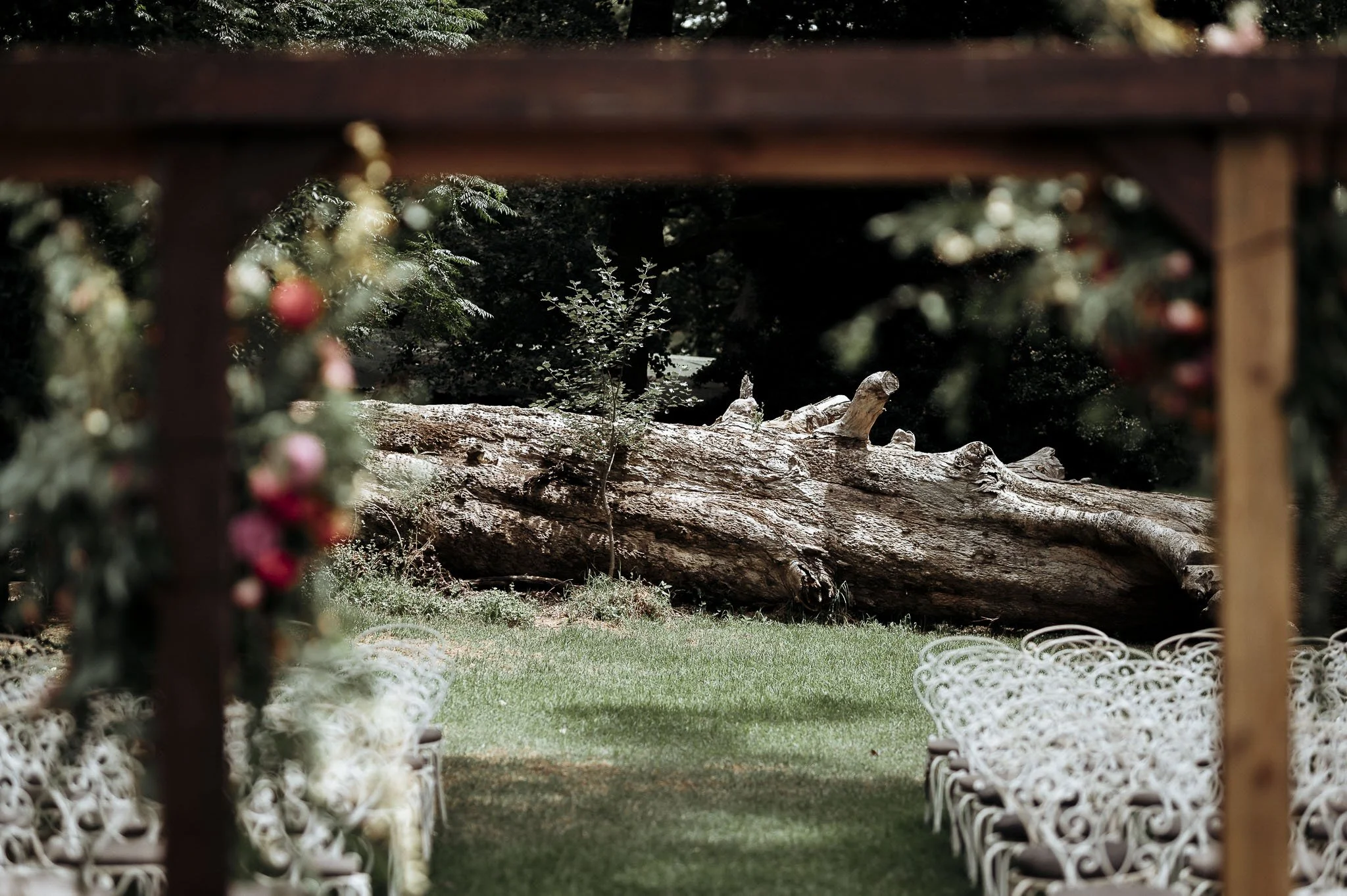 CrazyLittleThingPhotography. GavinvanhaghtPhotography-78.JPG