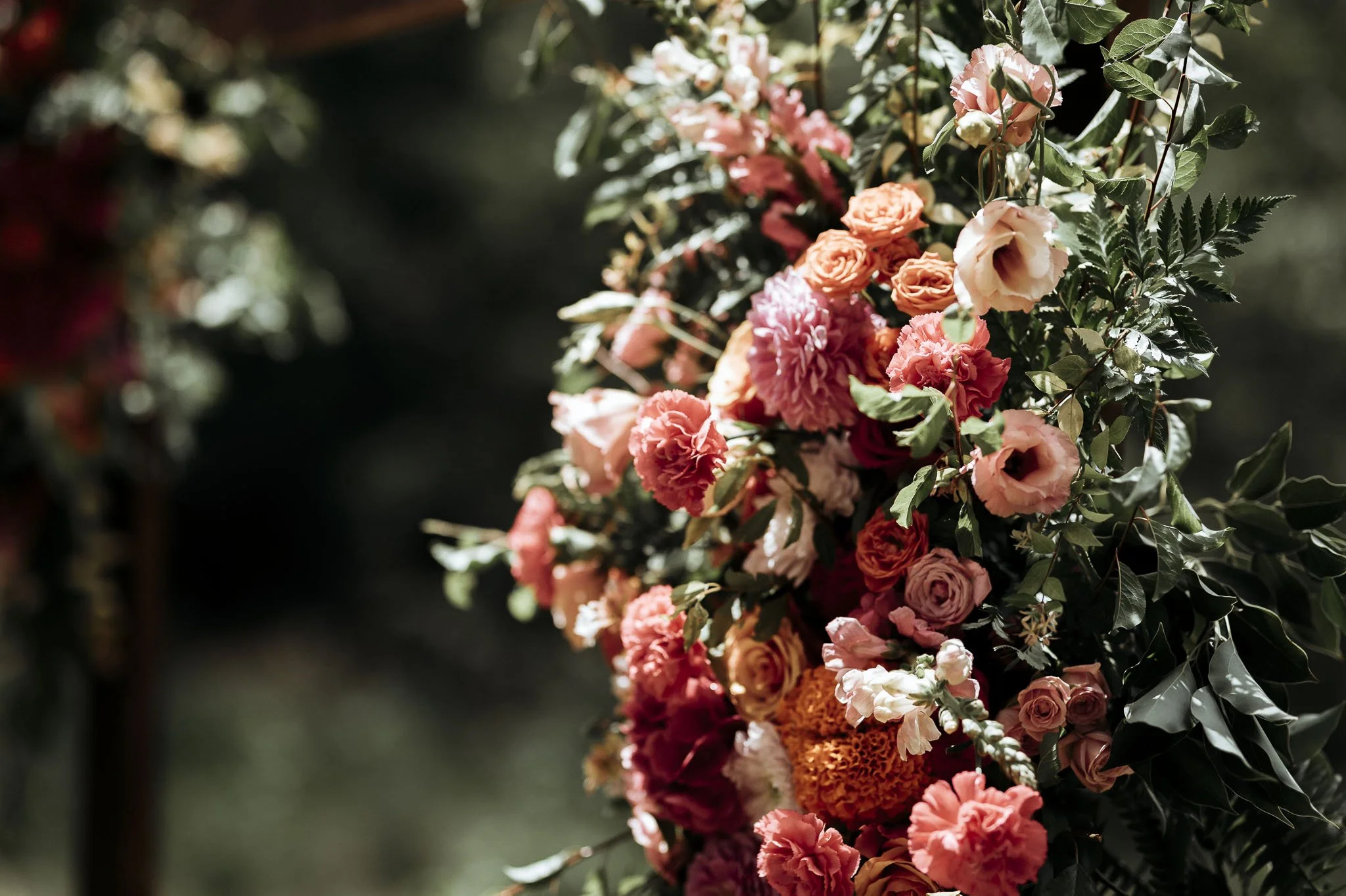 CrazyLittleThingPhotography. GavinvanhaghtPhotography-76.JPG