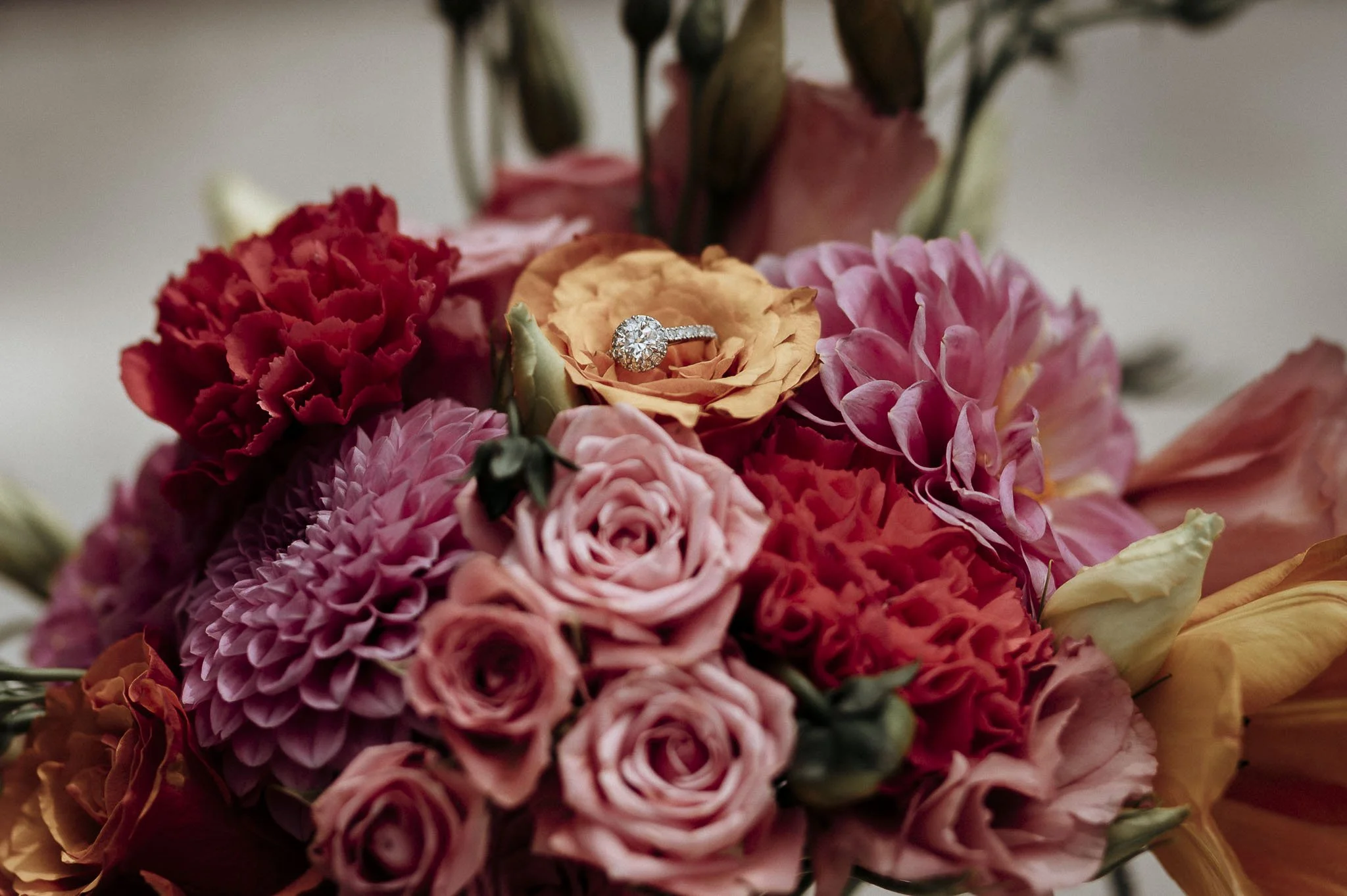 CrazyLittleThingPhotography. GavinvanhaghtPhotography-54.JPG