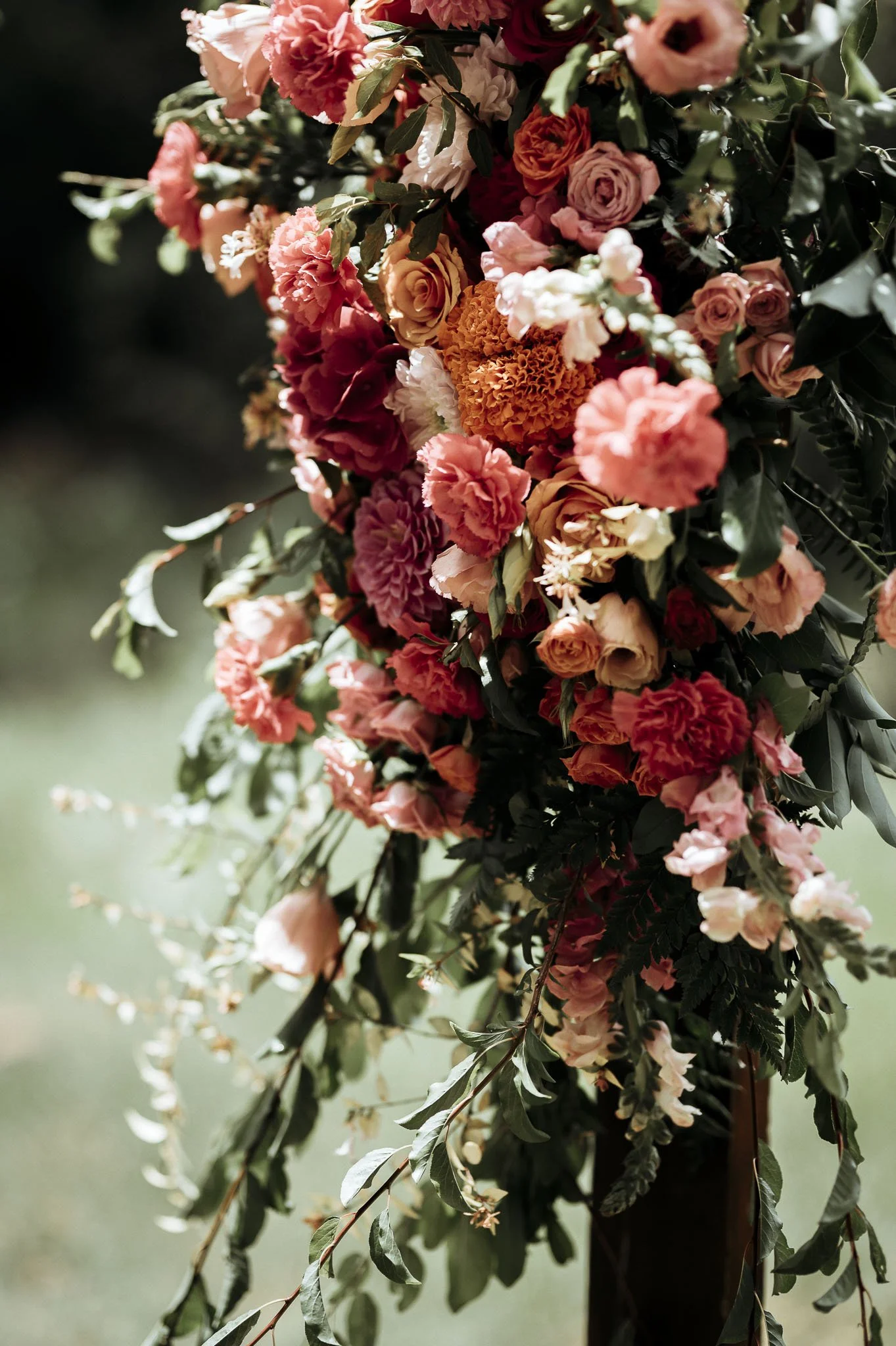 CrazyLittleThingPhotography. GavinvanhaghtPhotography-74.JPG