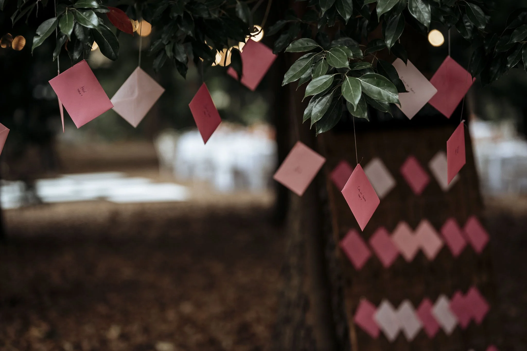 CrazyLittleThingPhotography. GavinvanhaghtPhotography-496.JPG