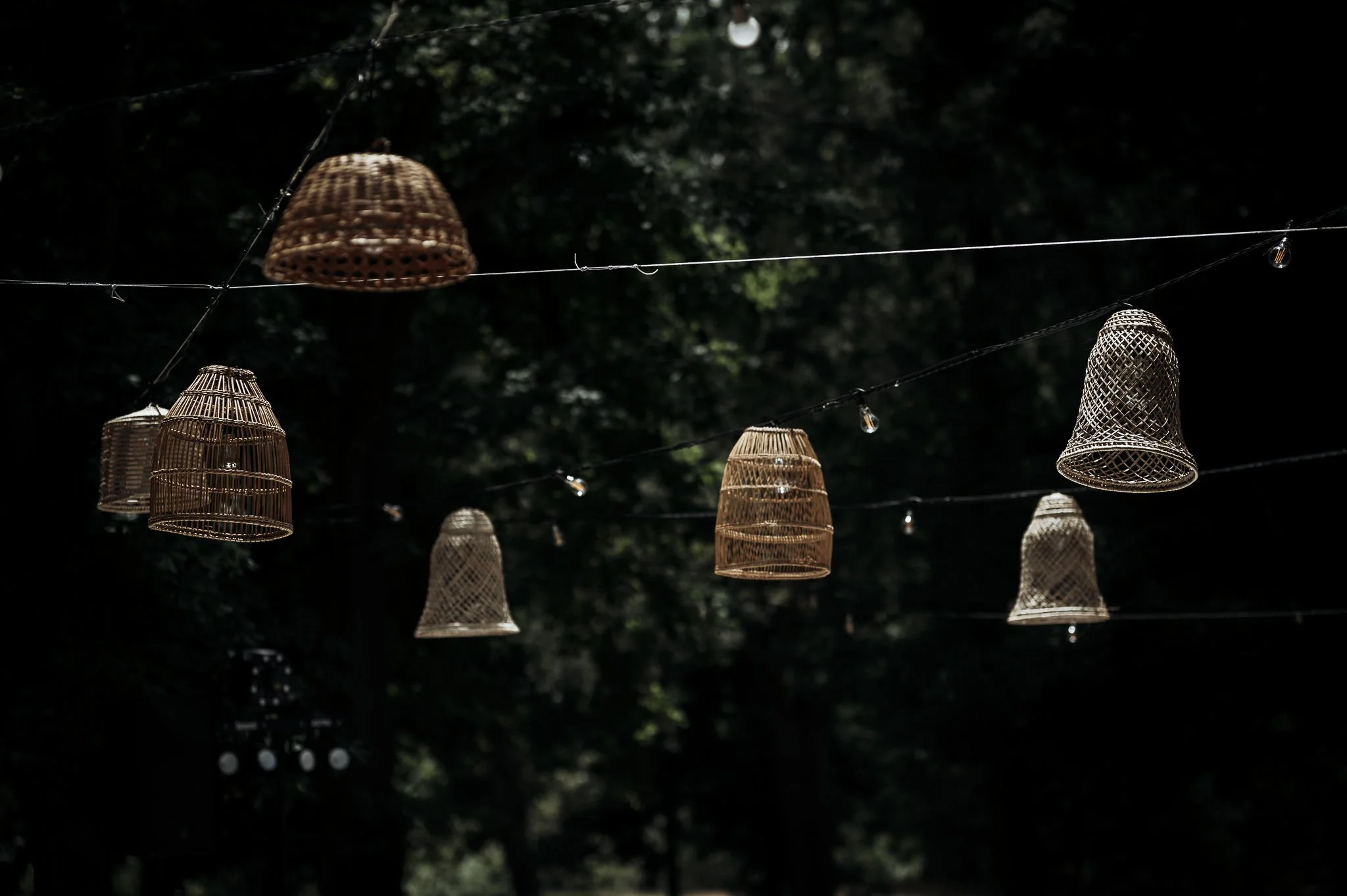 CrazyLittleThingPhotography. GavinvanhaghtPhotography-16.JPG