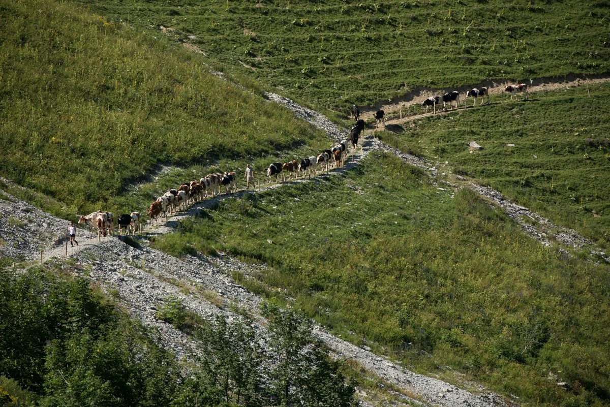 jul-0294.jpg