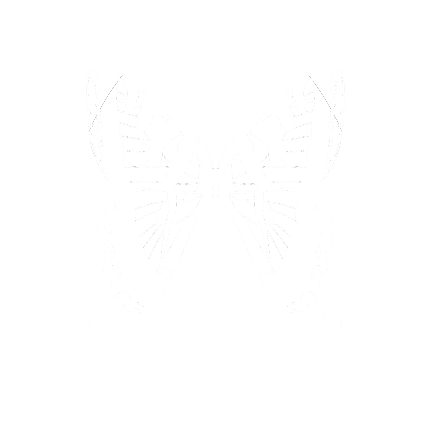 Swallowtail Studios