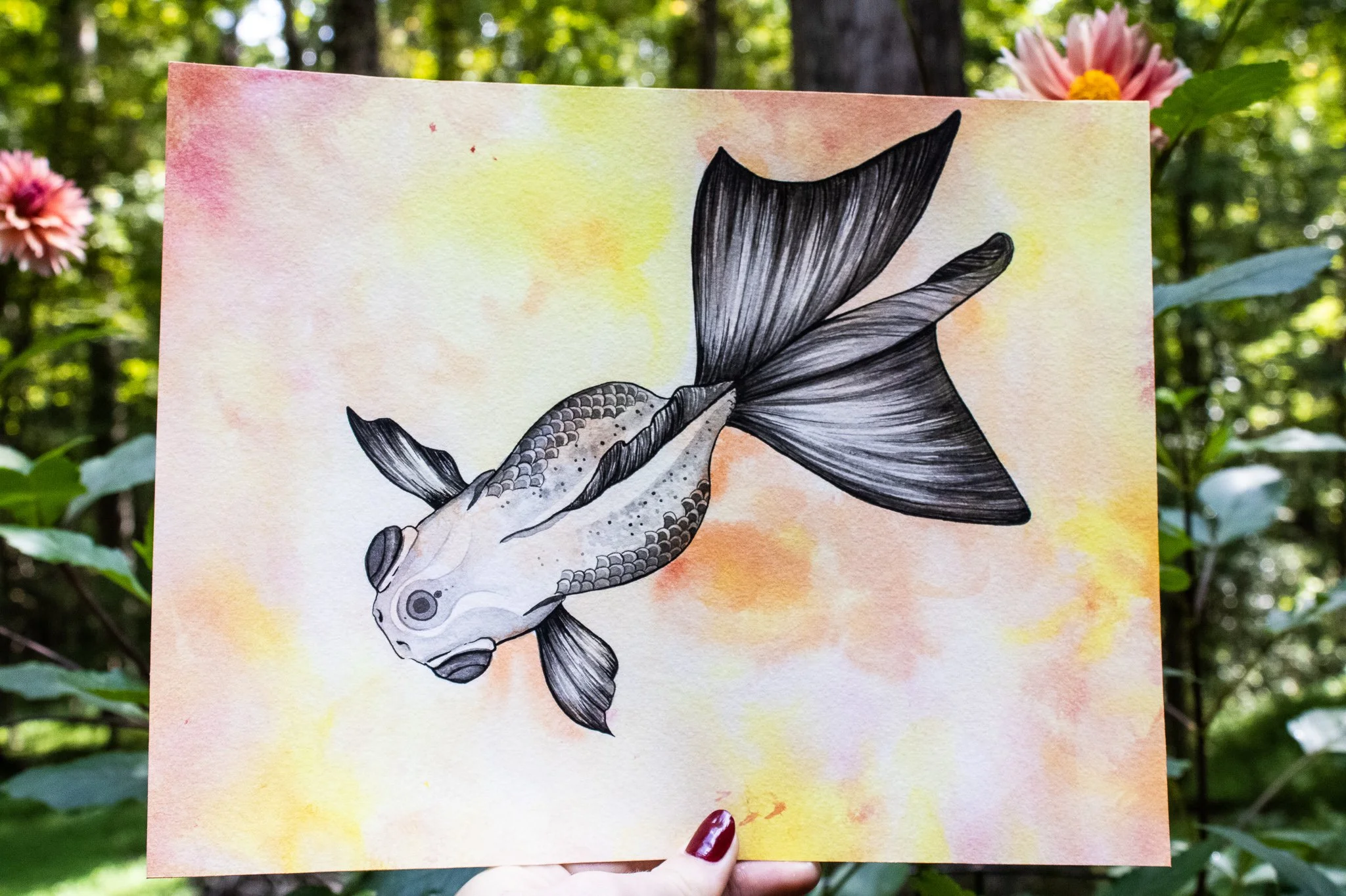 A watercolor illustration of a goldfish with detailed black fins and tail, held up against a soft pastel background with pink, orange, and yellow hues in an outdoor garden setting.