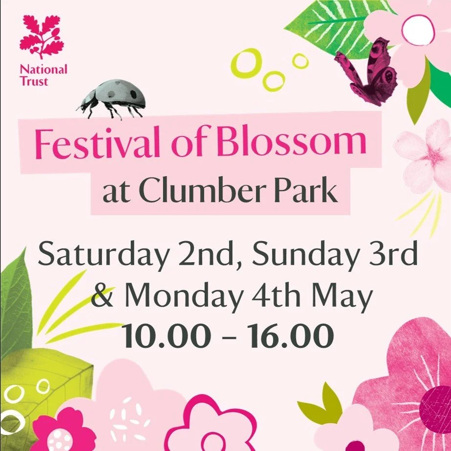 Festival of Blossom