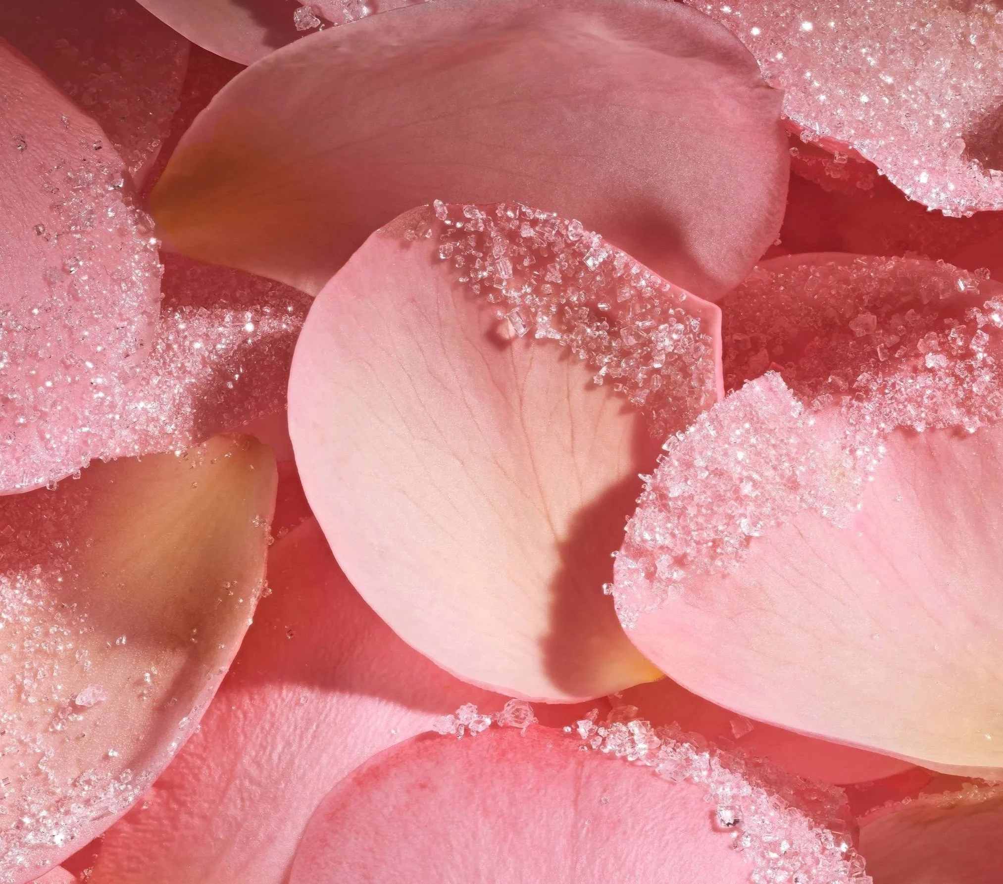 dried plant. beauty. skincare styling. prop stylist. set design. cosmetic styling. cosmetic shoot. cosmetic product shoot. product styling. set dressing. still life. still life styling. still life prop stylist. props. cosmetic still life. texture. co