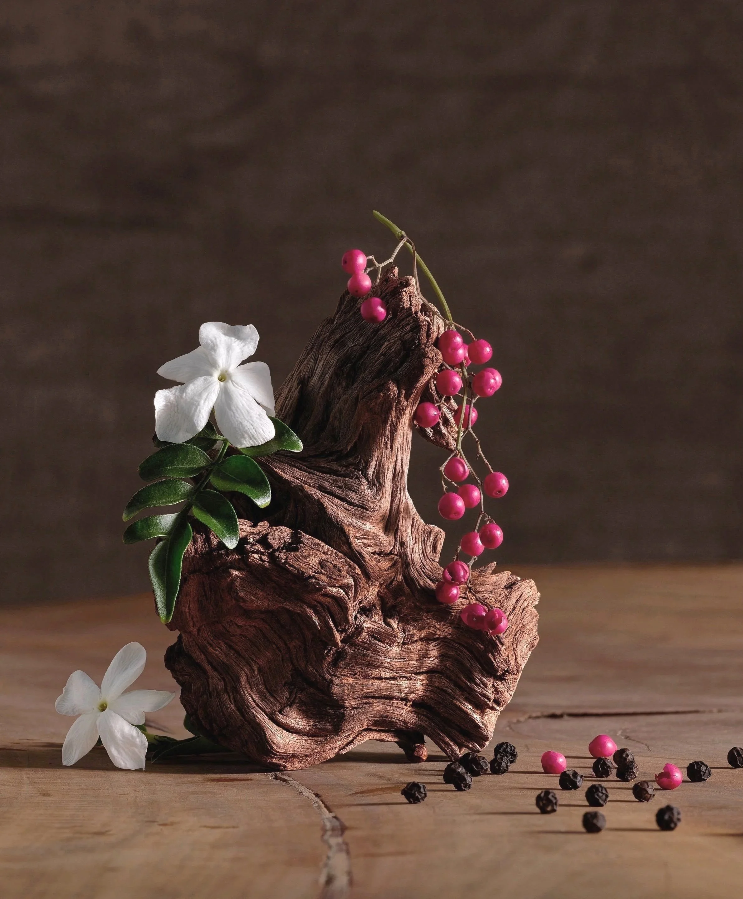 dried plant. beauty. skincare styling. prop stylist. set design. cosmetic styling. cosmetic shoot. cosmetic product shoot. product styling. set dressing. still life. still life styling. still life prop stylist. props. cosmetic still life. texture. co