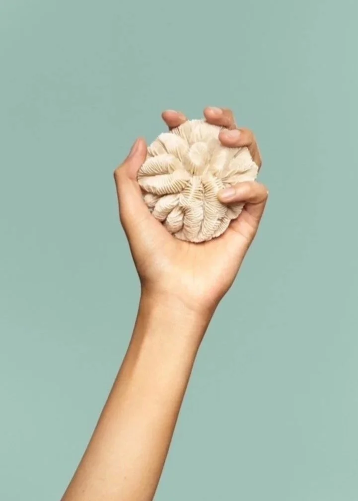 beauty. skincare styling. prop stylist. set design. cosmetic styling. cosmetic shoot. cosmetic product shoot. product styling. set dressing. still life. still life styling. still life prop stylist. props. beauty video. cosmetic still life. texture. c