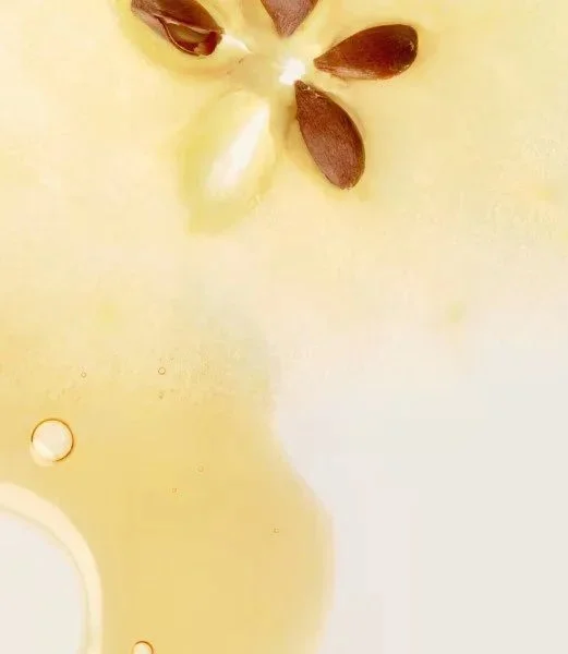 seed-oil-spotlight.jpg.jpg