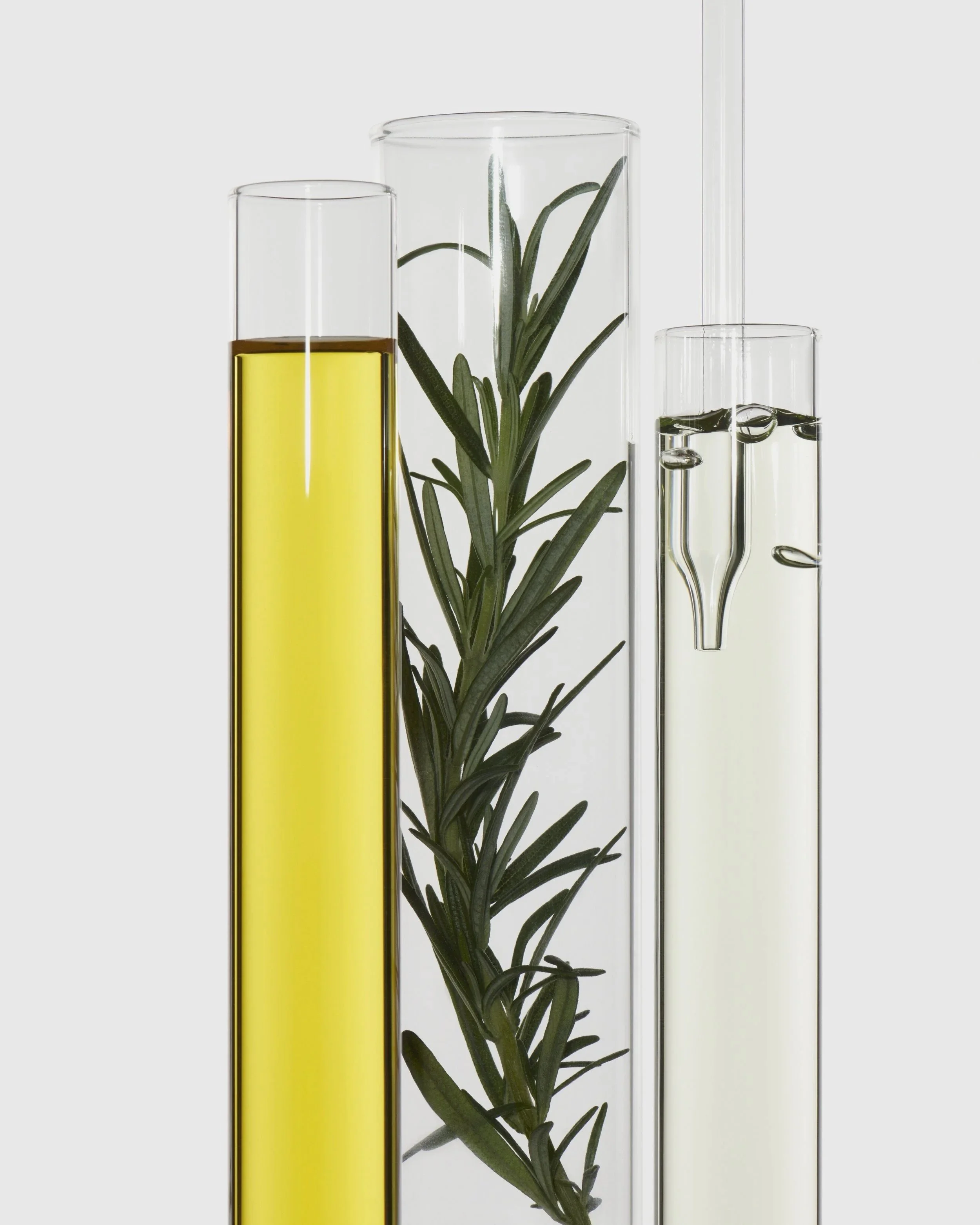 dried plant. beauty. skincare styling. prop stylist. set design. cosmetic styling. cosmetic shoot. cosmetic product shoot. product styling. set dressing. still life. still life styling. still life prop stylist. props. cosmetic still life. texture. co