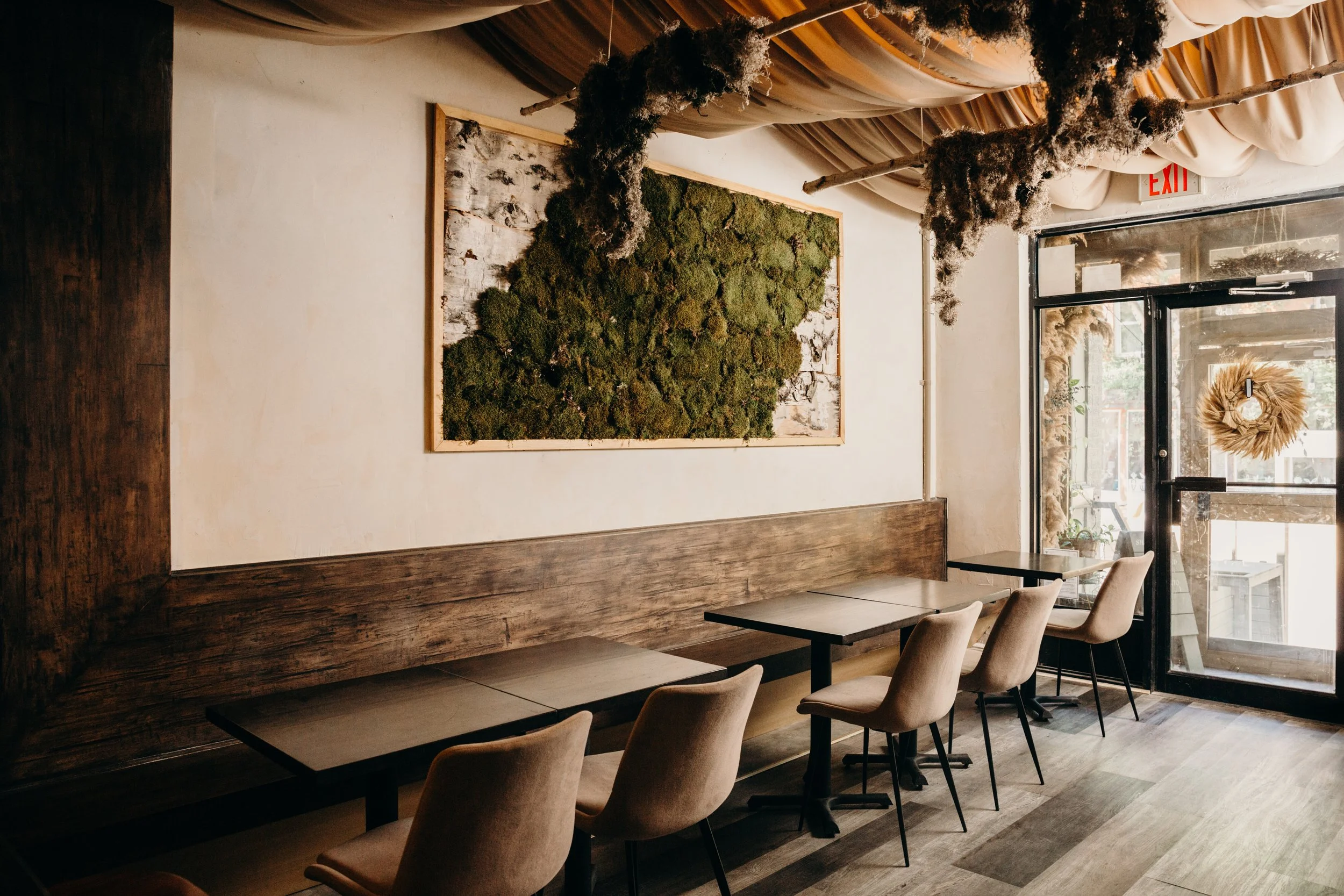 brightly lit, empty dining room with depictions of moss mural and dried moss + tapestries hanging from ceiling.