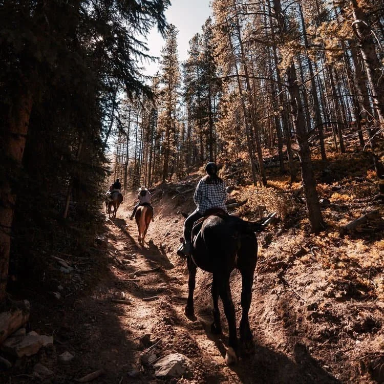 The Best Things to Do in Bozeman MT