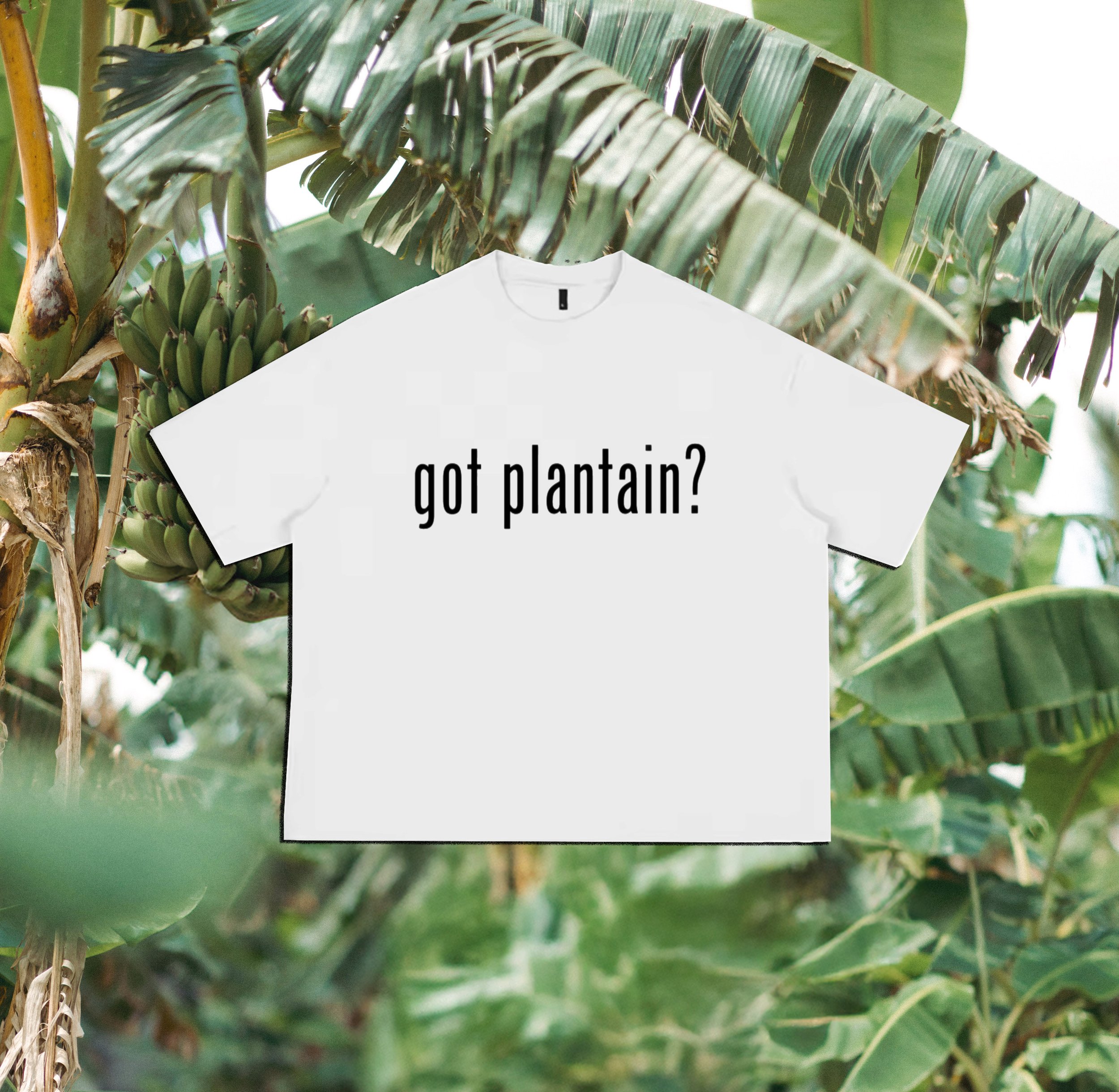 Mens Got Plantain.jpg