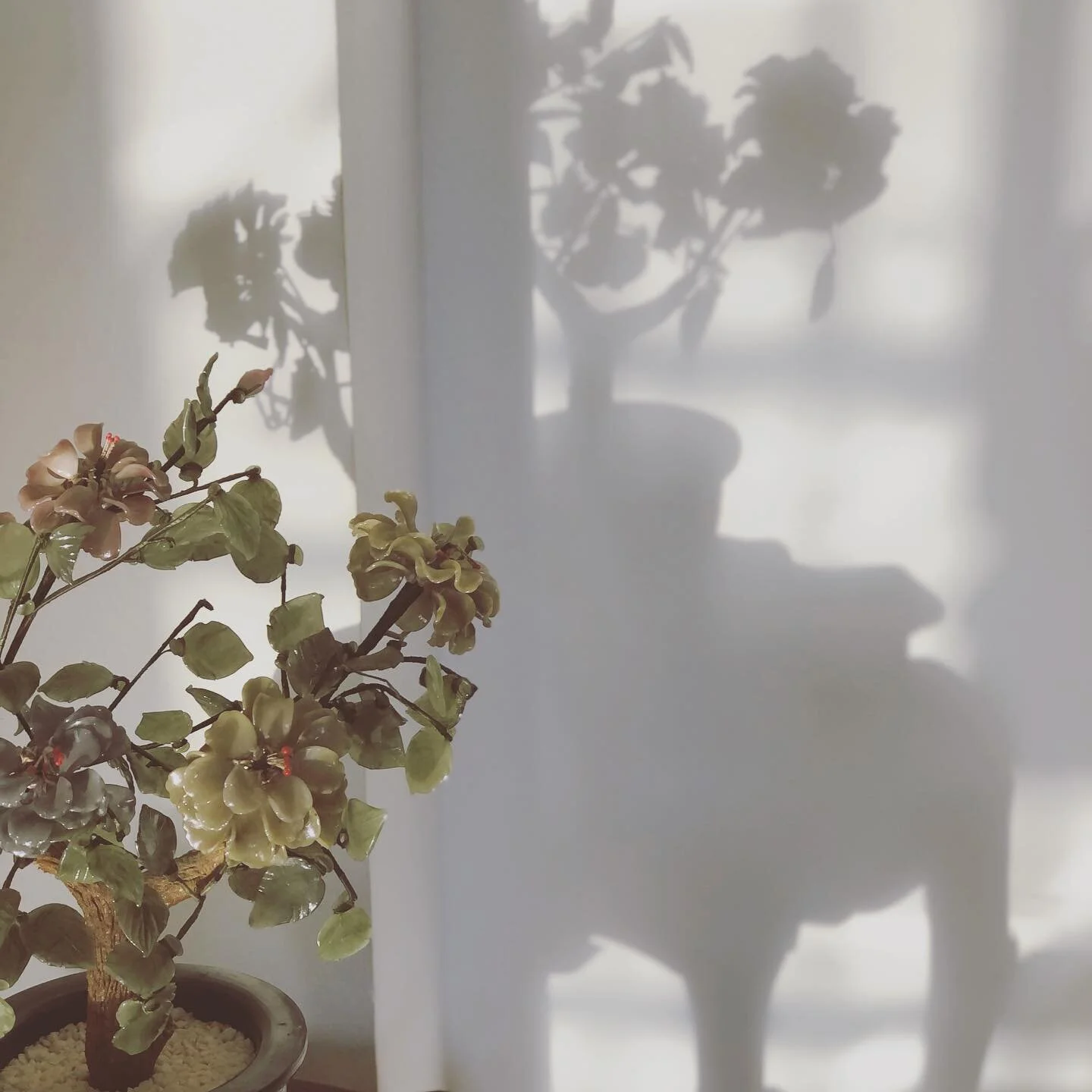 Scene from the family home