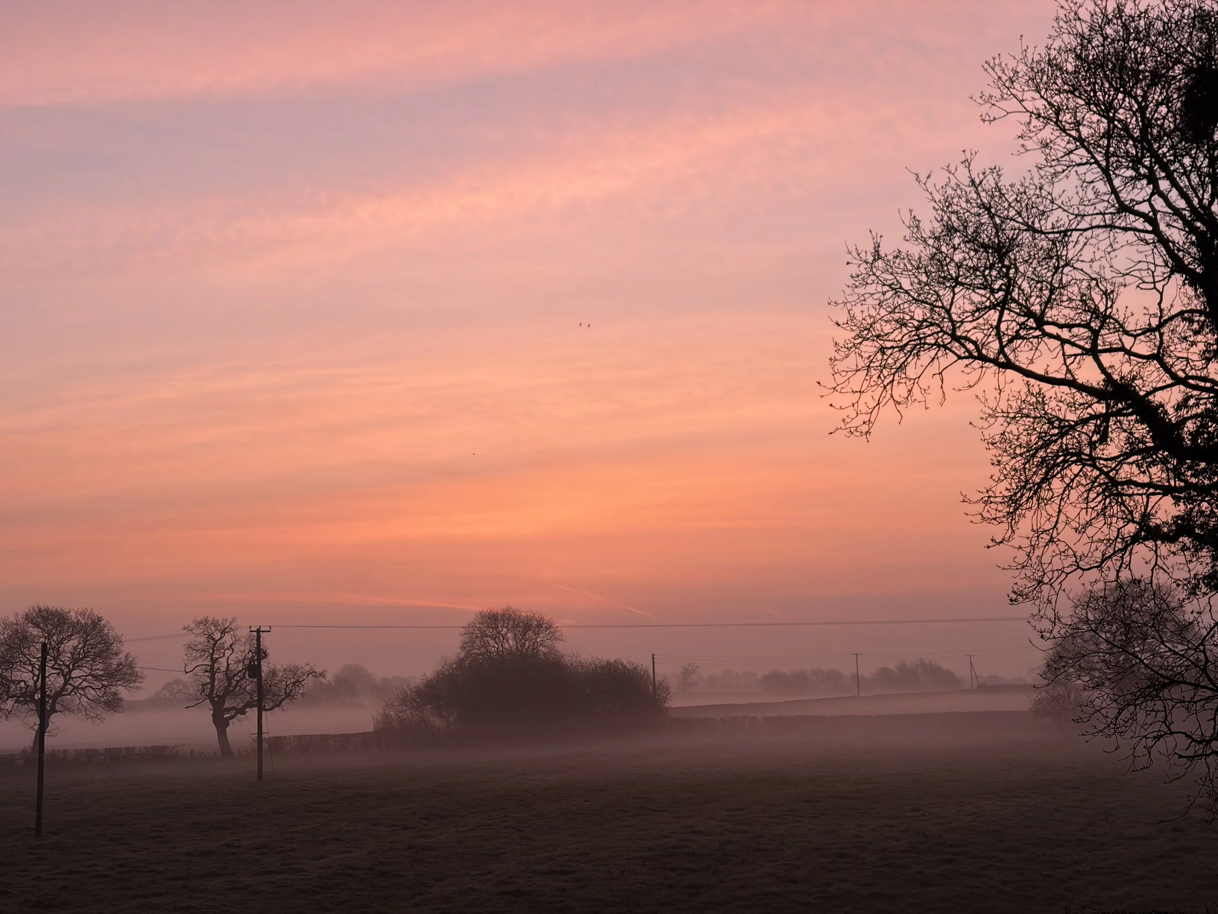 The Light Was Always There