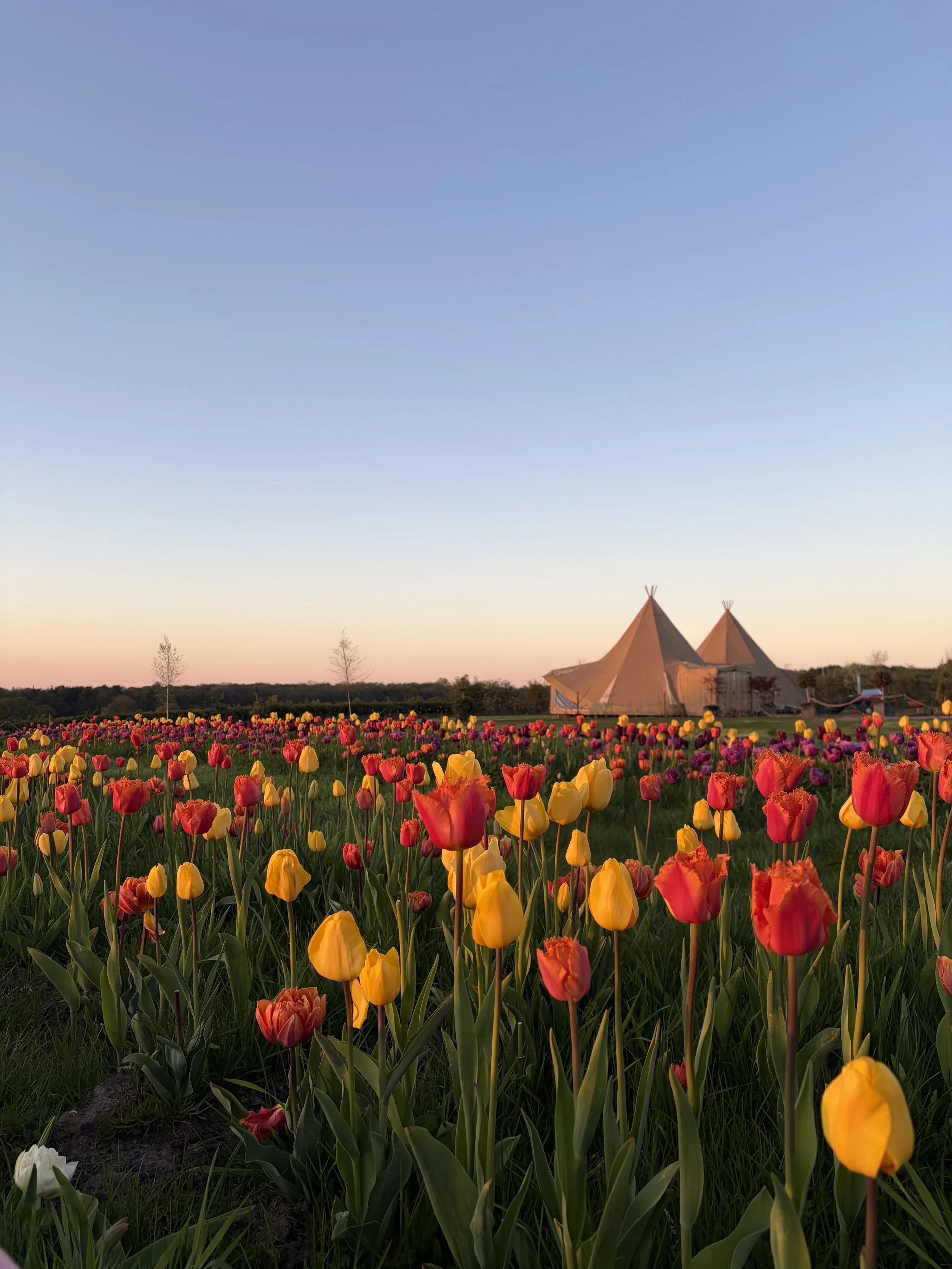 Monthly Restorative Tipi Yoga