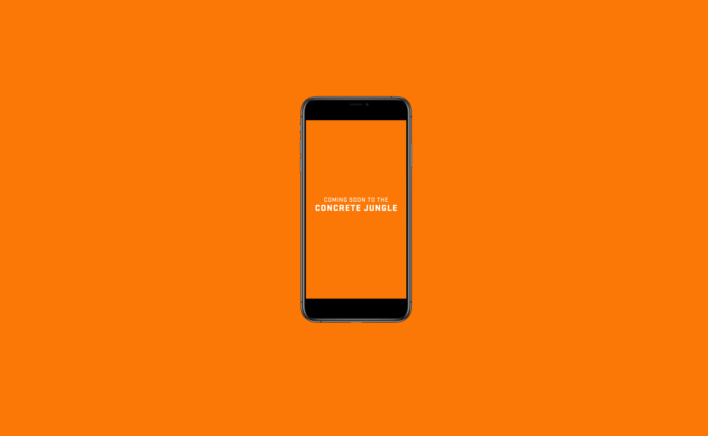 Untitled-1.gif