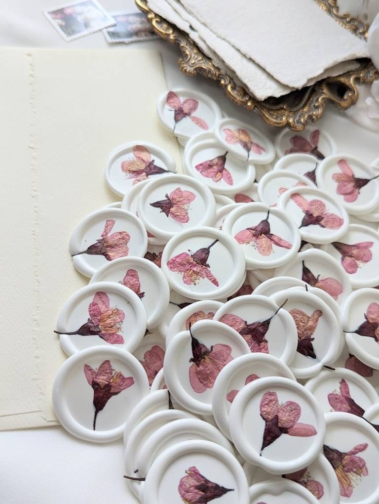 https://i.etsystatic.com/24986284/r/il/36d9f0/4597998264/il_fullxfull.4597998264_5u5k.jpg