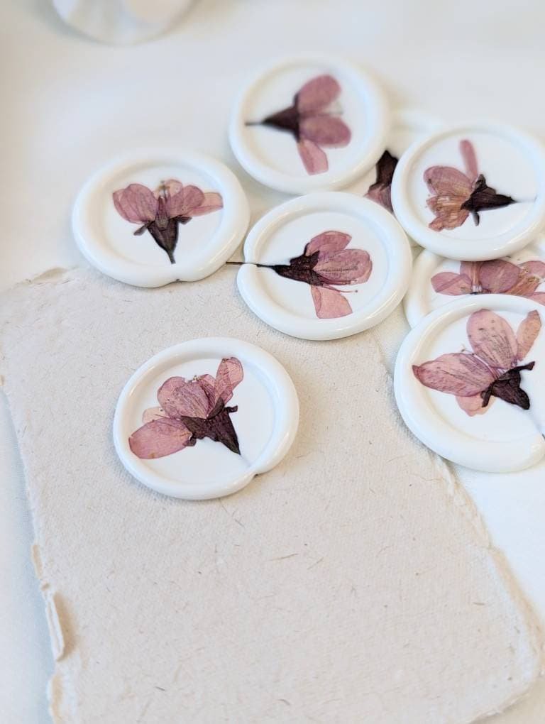 https://i.etsystatic.com/24986284/r/il/9fa64c/4573733340/il_fullxfull.4573733340_7n1q.jpg