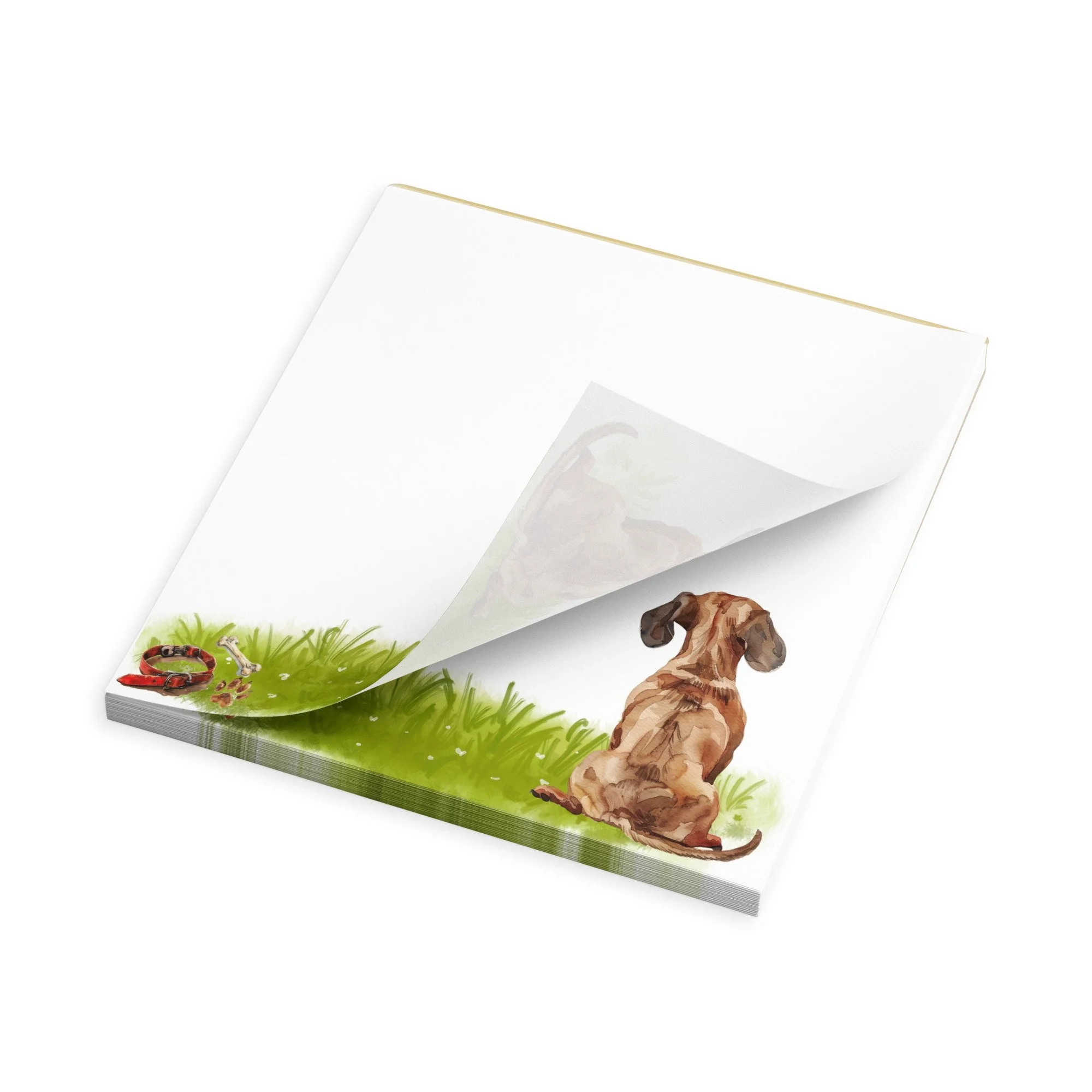 notepad-white-5.5x6-product-details-2-6a2779c76f95b.jpg