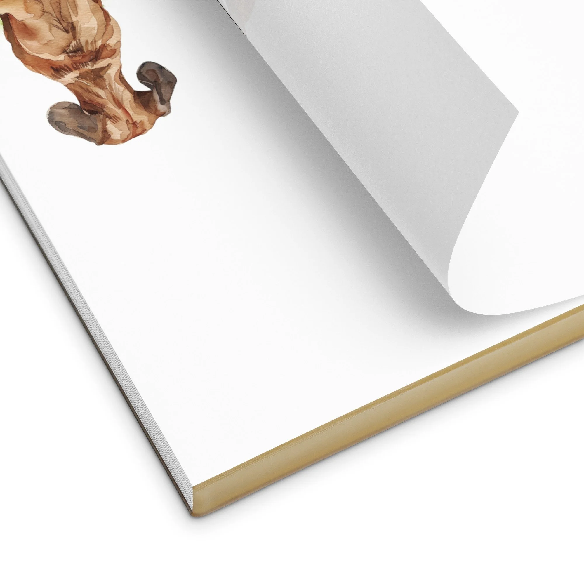 notepad-white-5.5x6-product-detail-6a2779c76ec9e.jpg