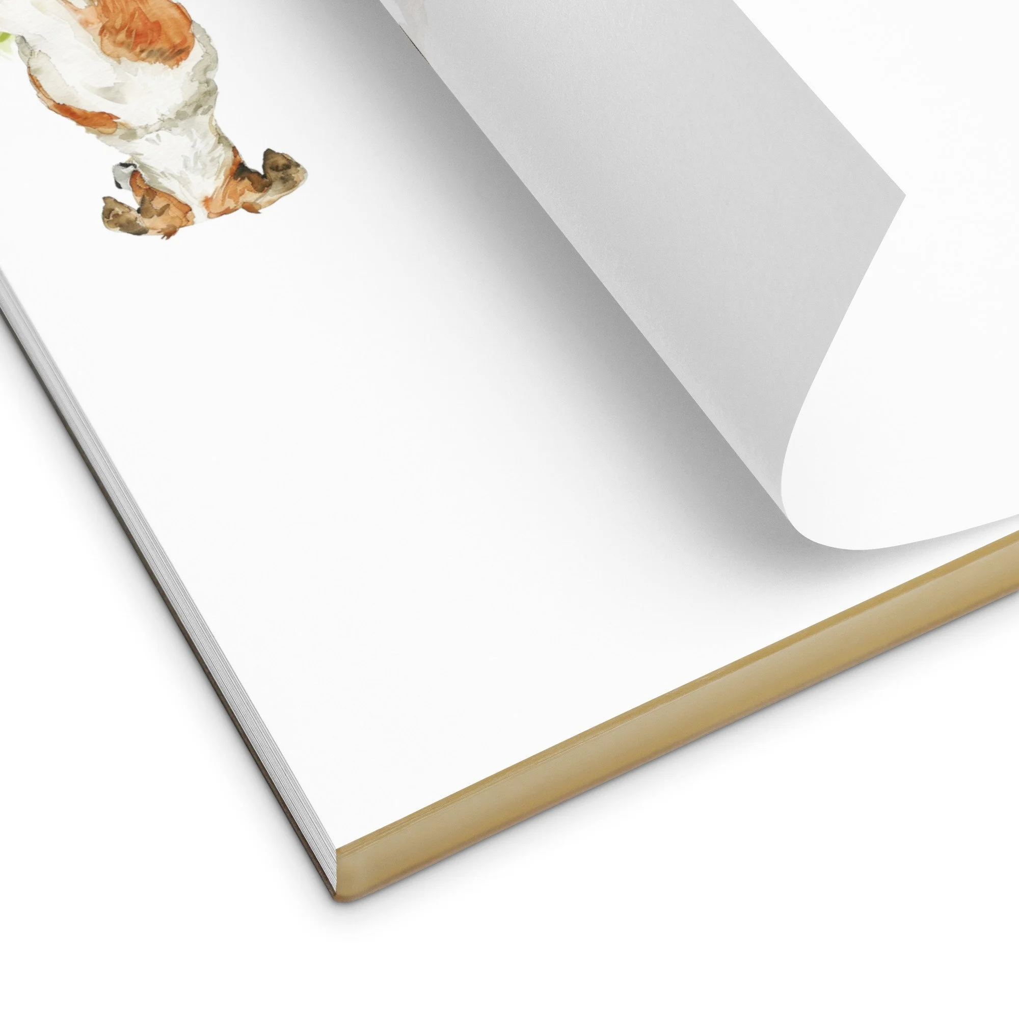 notepad-white-5.5x6-product-detail-6a357b1d636ef.jpg