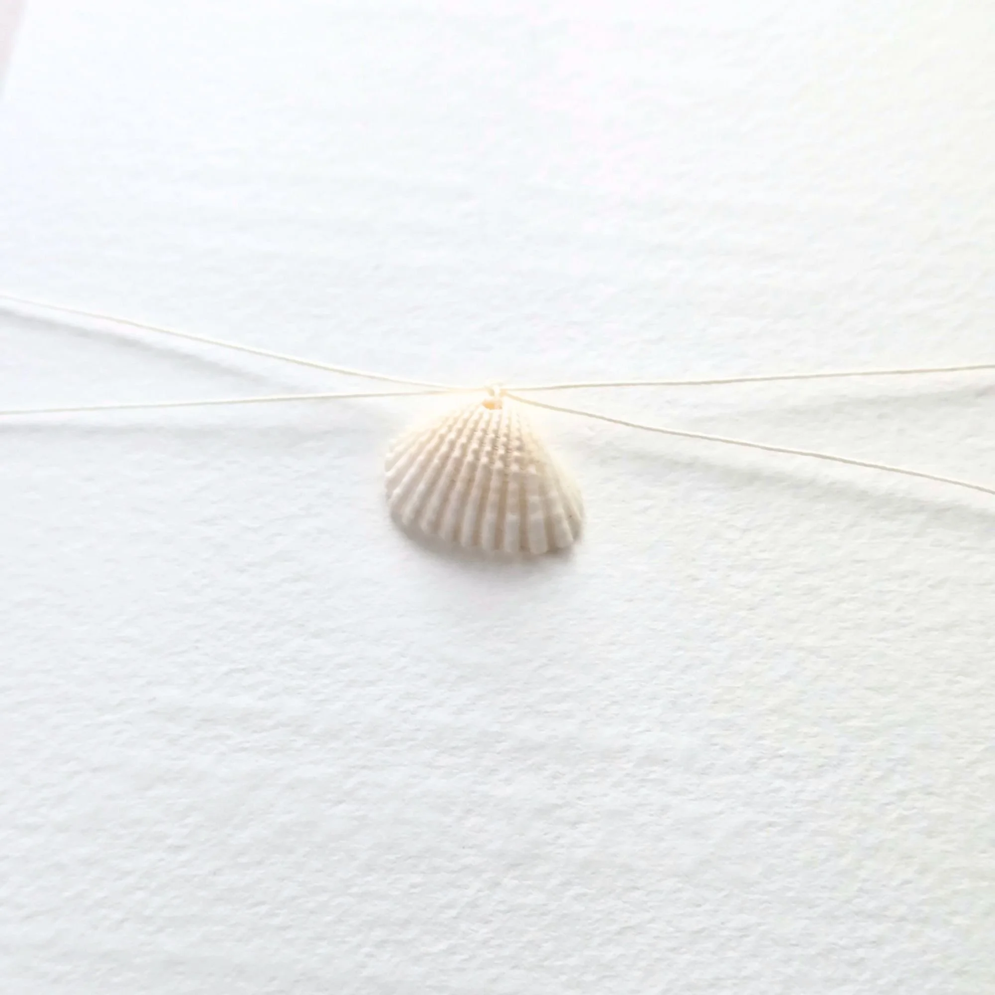 Linen Thread and Seashell Belly Band- Set of 25