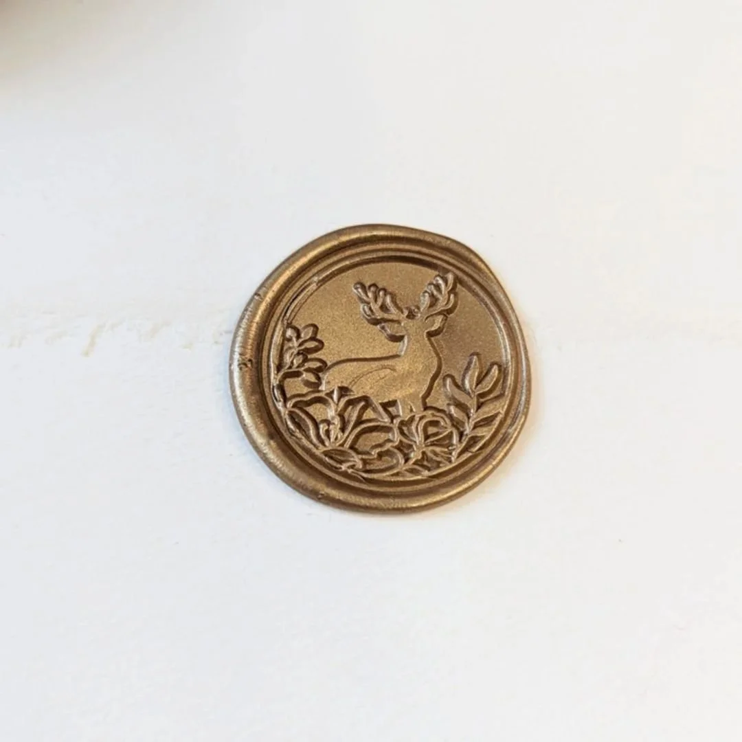 IMG_20260323_140306_688.jpg (Copy)