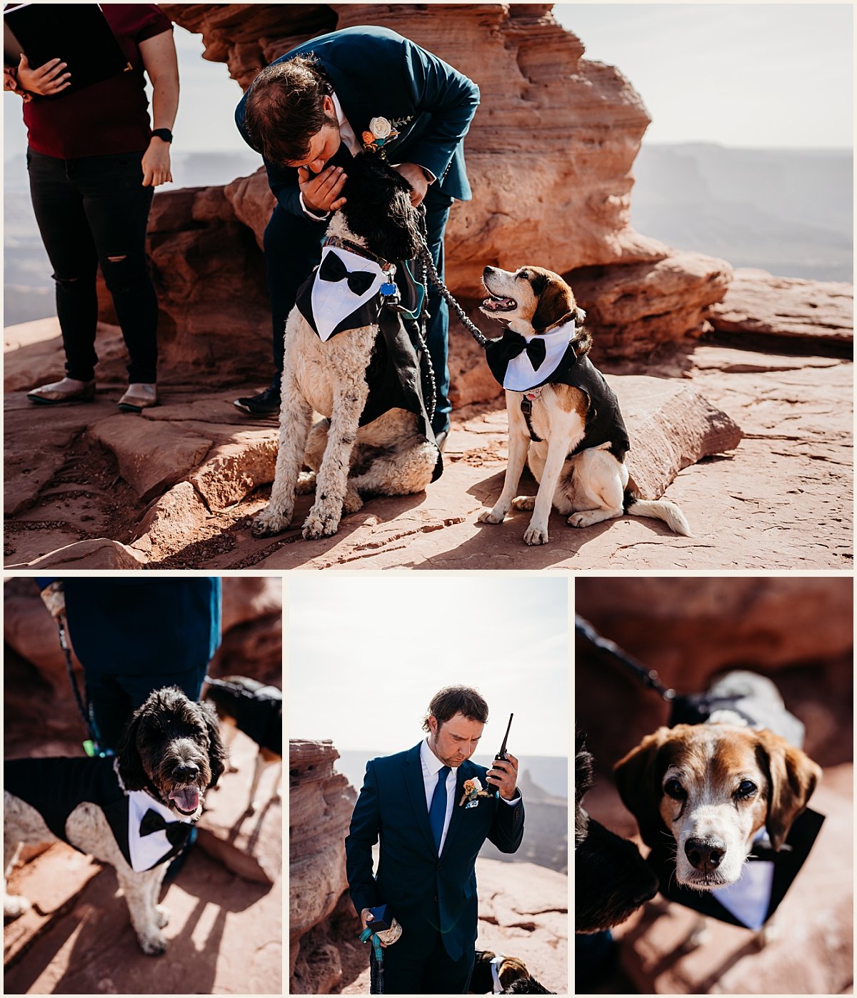 Groom and dogs waiting for the bride at the scenic canyon alter | Lauren Crumpler Photography | Elopement Wedding Photographer
