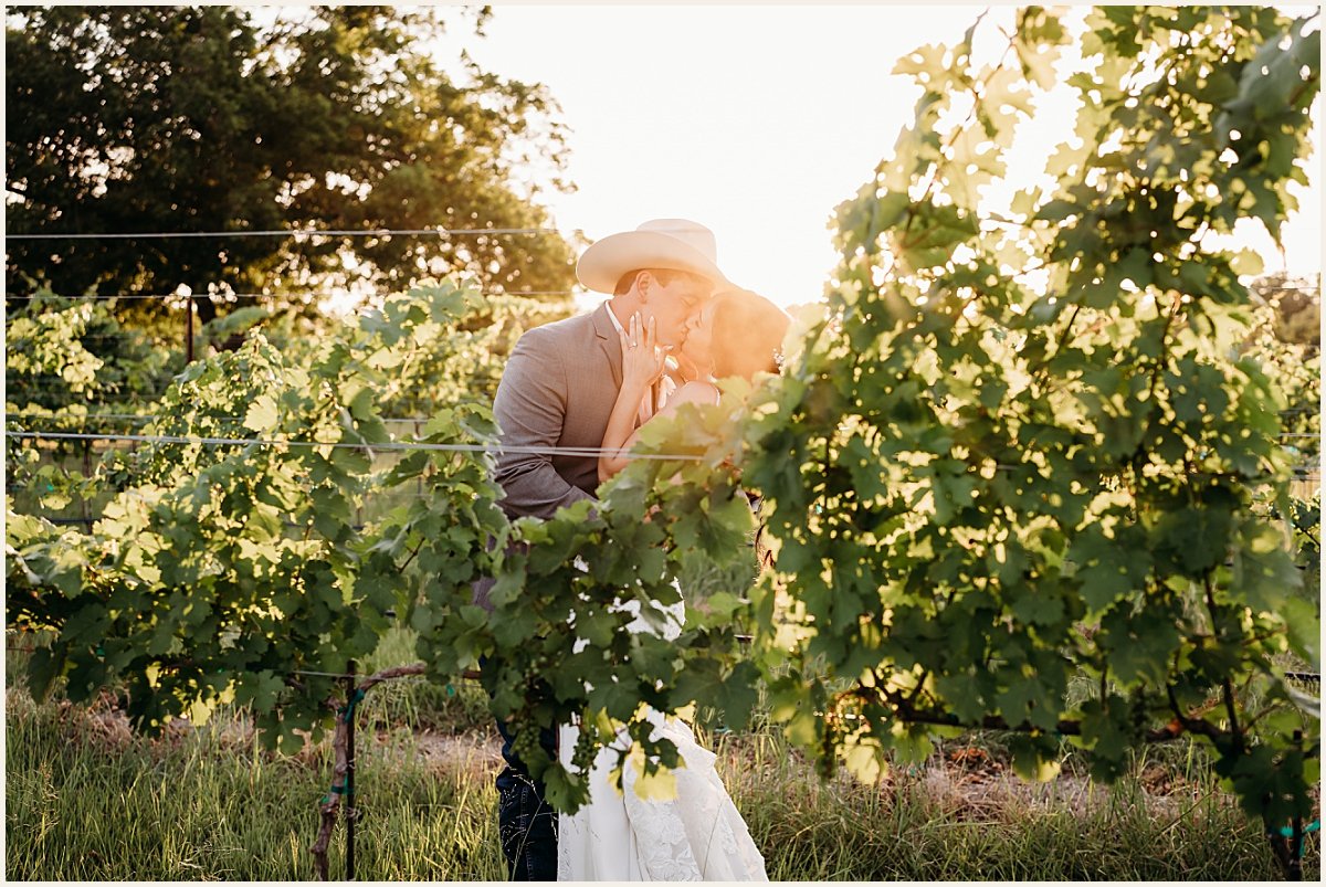 Bride and groom golden hour in the vineyard | Lauren Crumpler Photography | Texas Wedding Photographer