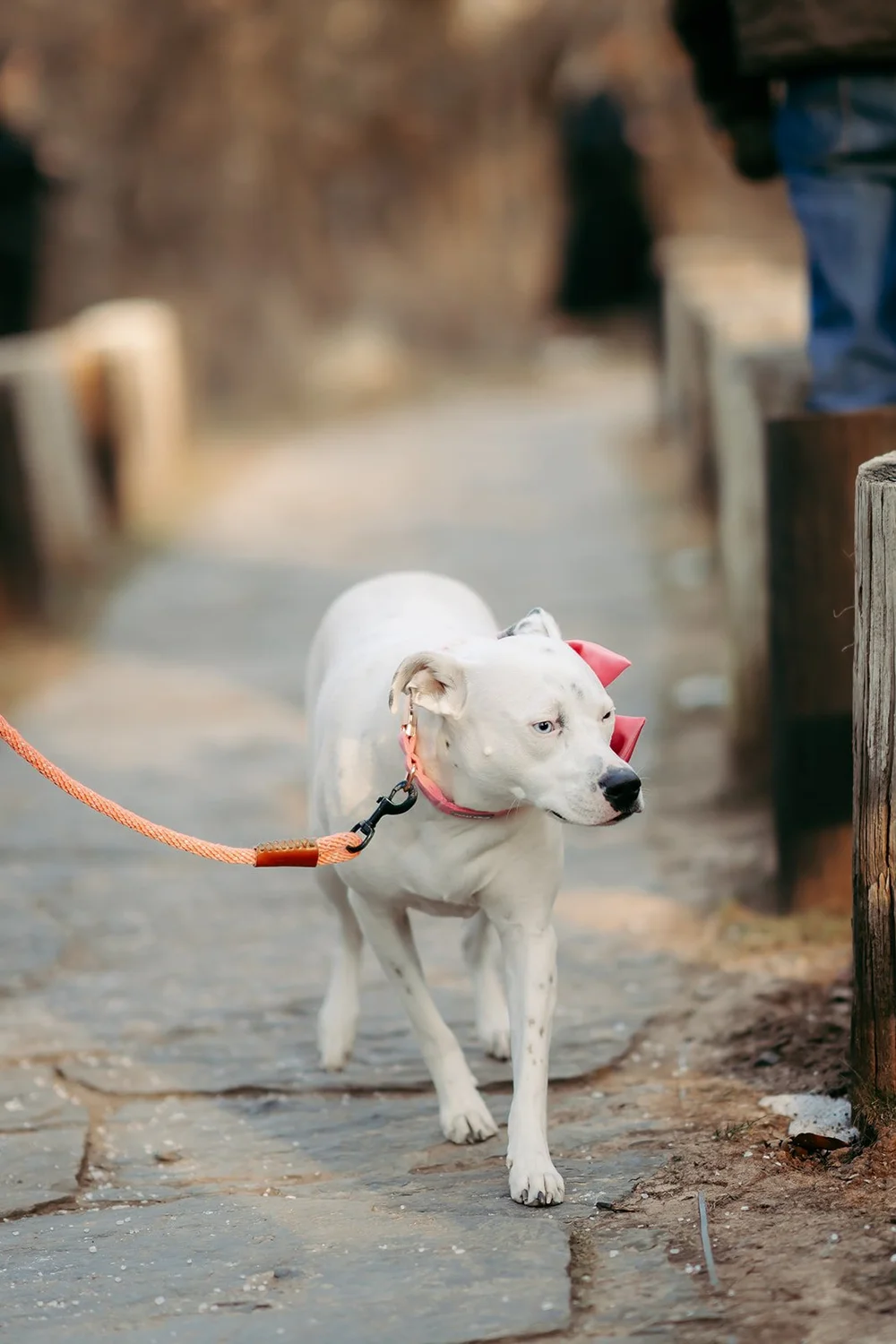 Woodsy Winter Wedding at Merrick Hollow in Wellston, OK