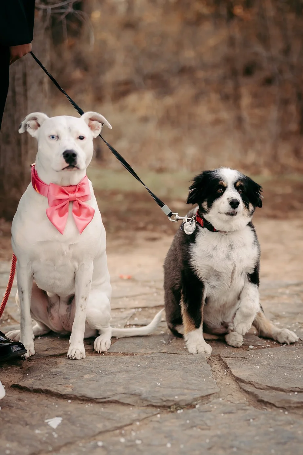 Woodsy Winter Wedding at Merrick Hollow in Wellston, OK