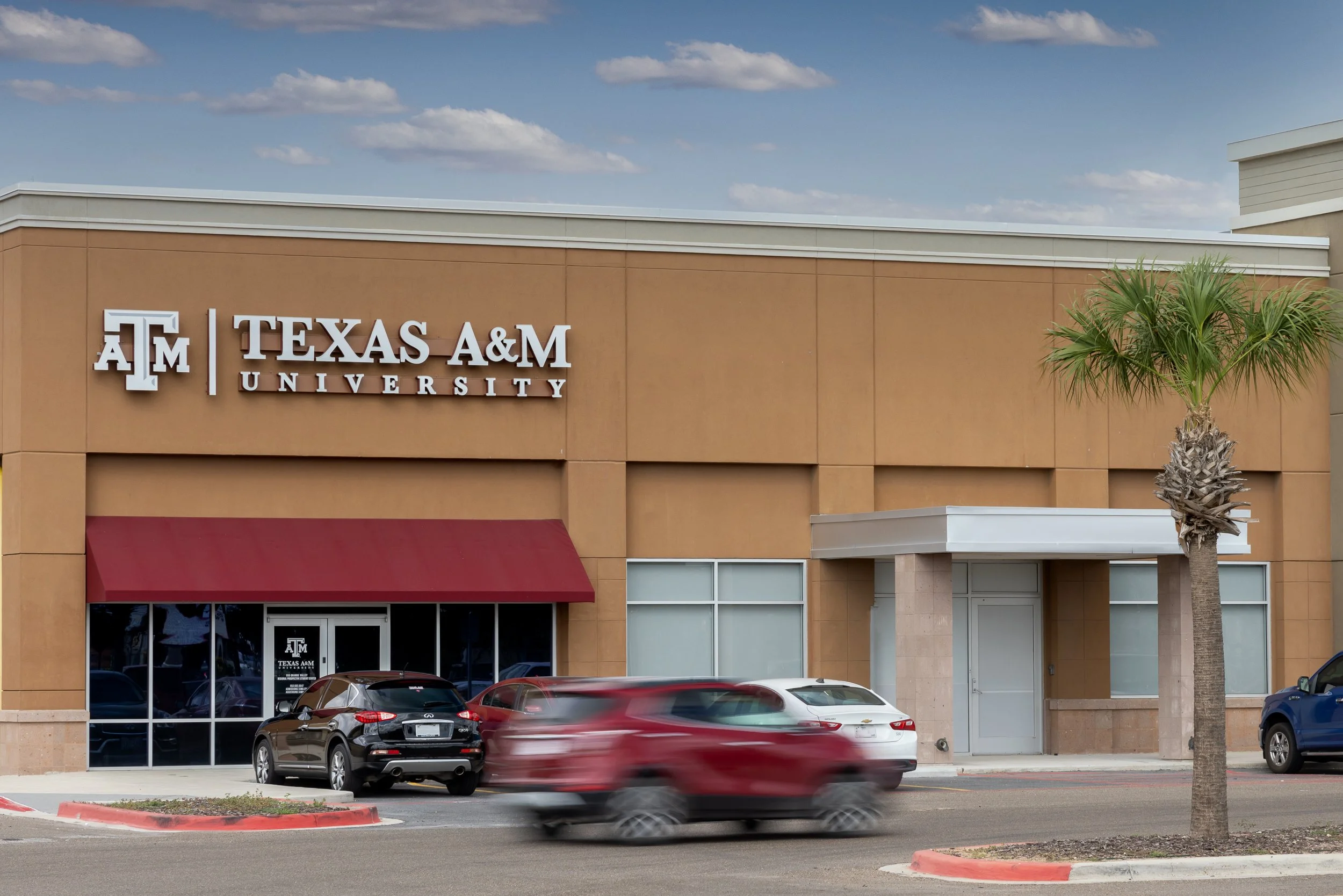 Exterior of a Texas A&M University building with cars parked in front and a palm tree on the sidewalk.