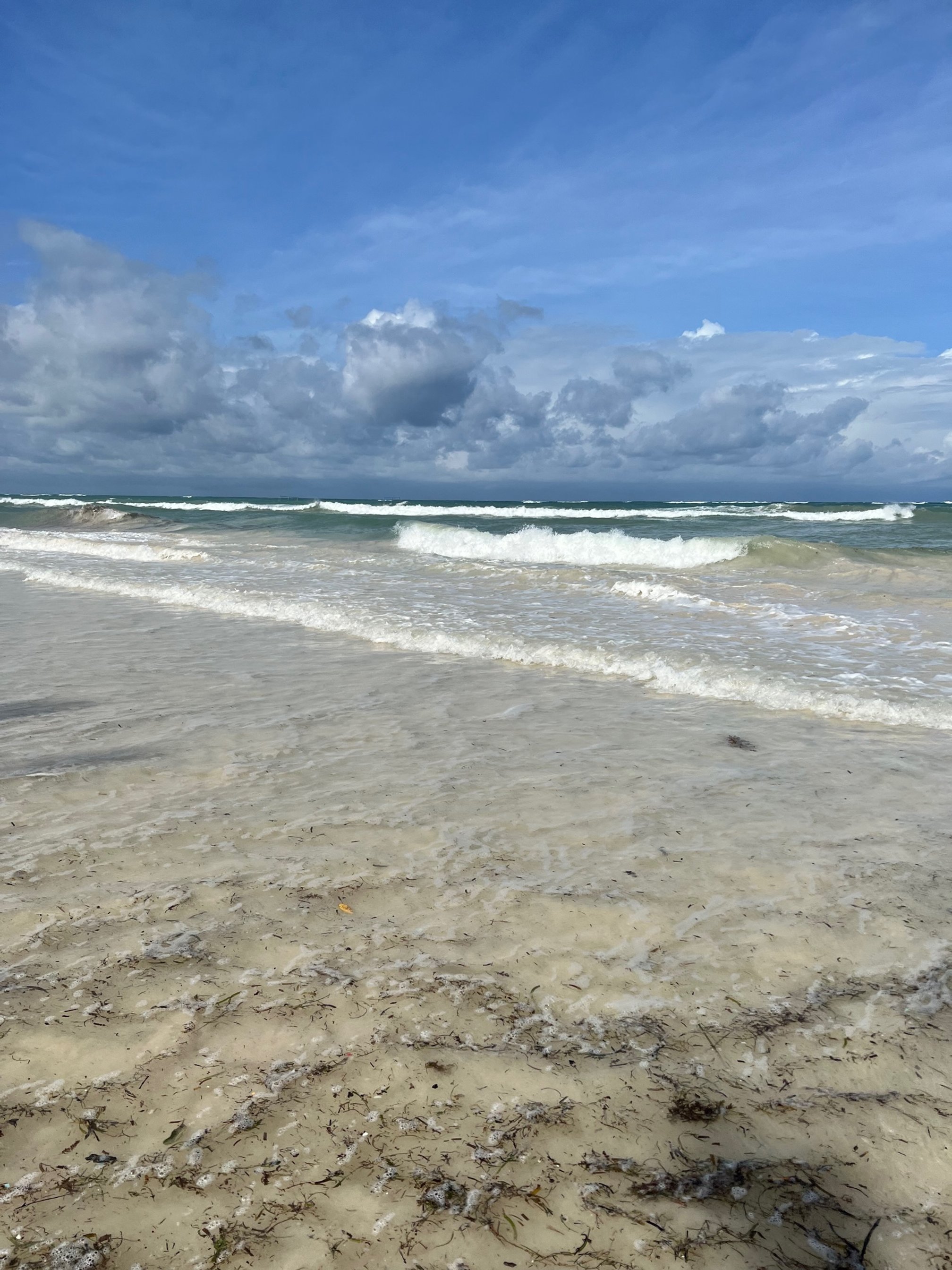 IMG_1830.jpeg