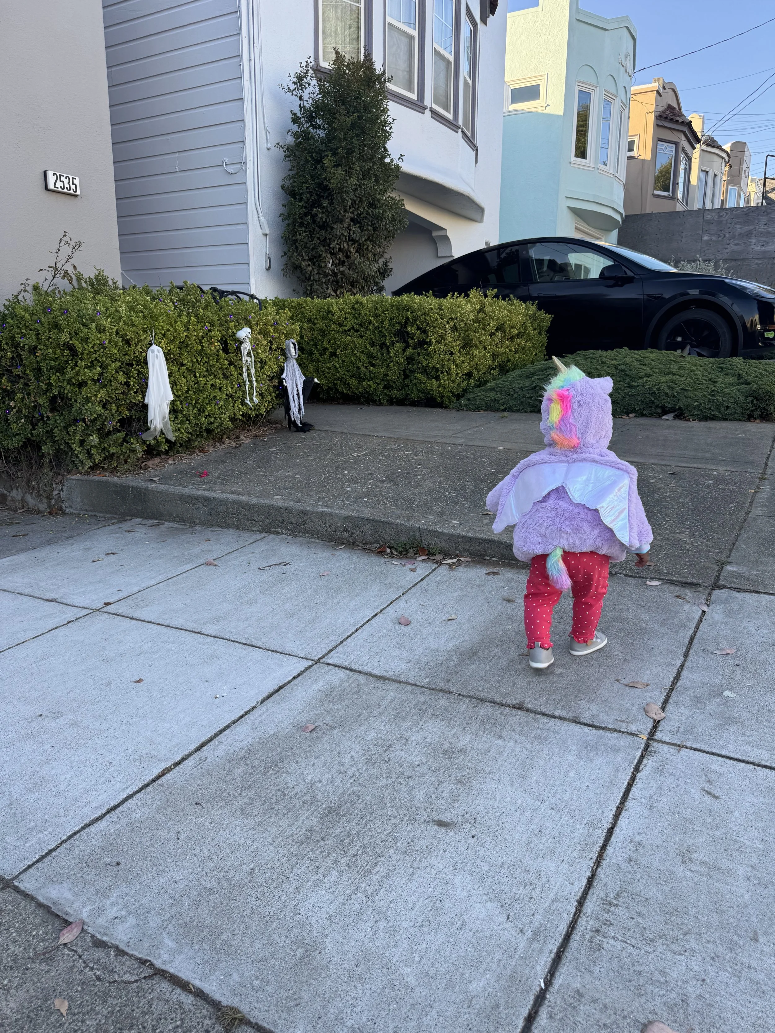 IMG_8519.jpeg