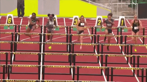 secret topic: hurdles of life 