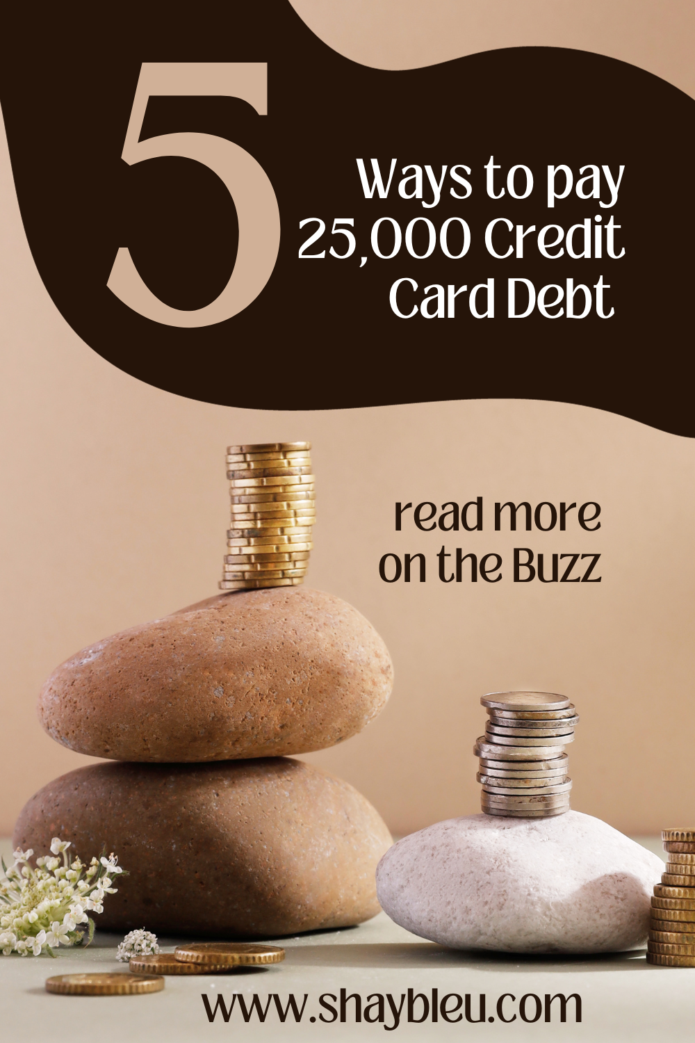 Chipping Away $25,000 in Credit Card Debt: the 12-Month Game Plan