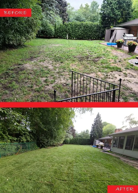 before and after 15.jpg