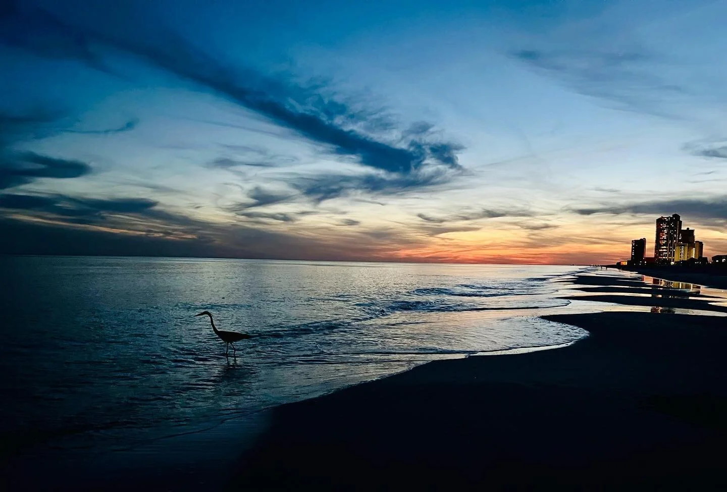 Even the #beachbirds enjoy #OBA evenings. 

📸: @snsmith 

#paddleshores #paddlegetaways #oba #orangebeachalabama #rentme #airbnb #vrbo #allaboutthatbeach #beachlife #beachplease #springbreak #birdsonthebeach