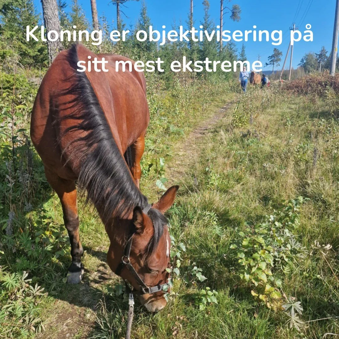 Siden det har v&aelig;rt en del saker om kloning av hest i utlandet i nyhetene i det siste, f&oslash;ler jeg for &aring; si ett par ord om saken. Jeg kan en del om klonig. F&oslash;r jeg startet etter- og videreutdanningen min for &aring; bli atferds