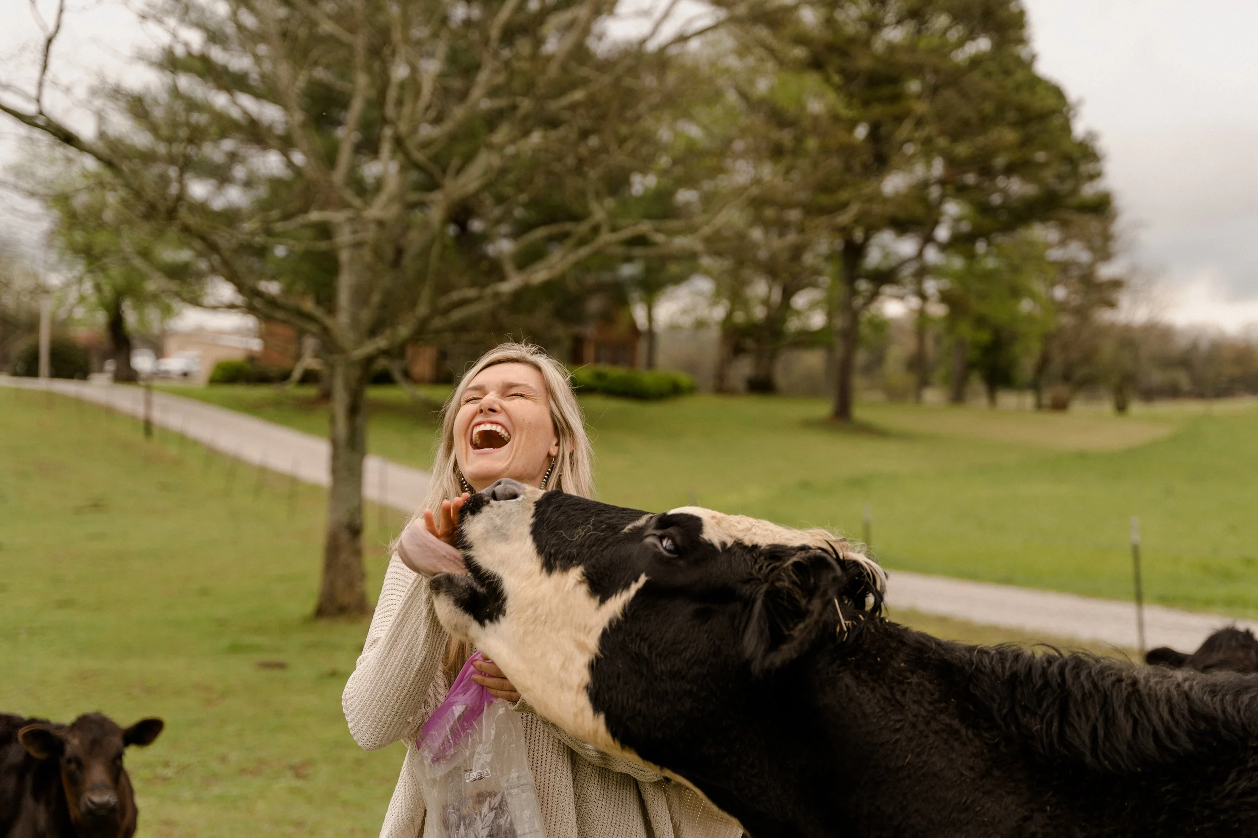 I love feeding my cows treats. 