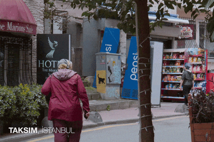 Sibel Kotan : Istanbul Street Cats / Sokak Kedileri - Portrait, 2025