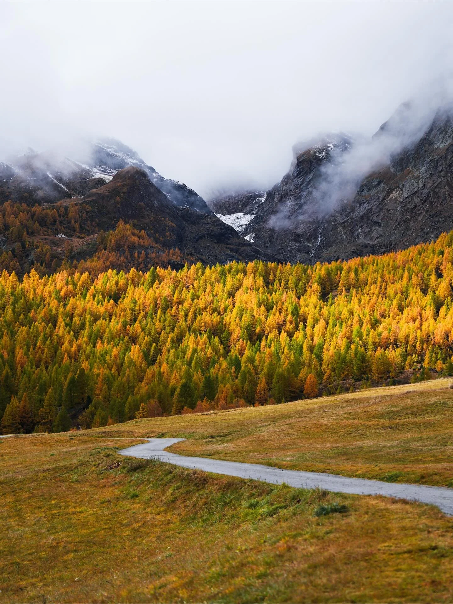 Autumn in the Swiss alps 🤌🏼🍁🇨🇭
