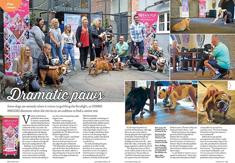 An example layout from Dogs Monthly a magazine I worked on as a freelancer.