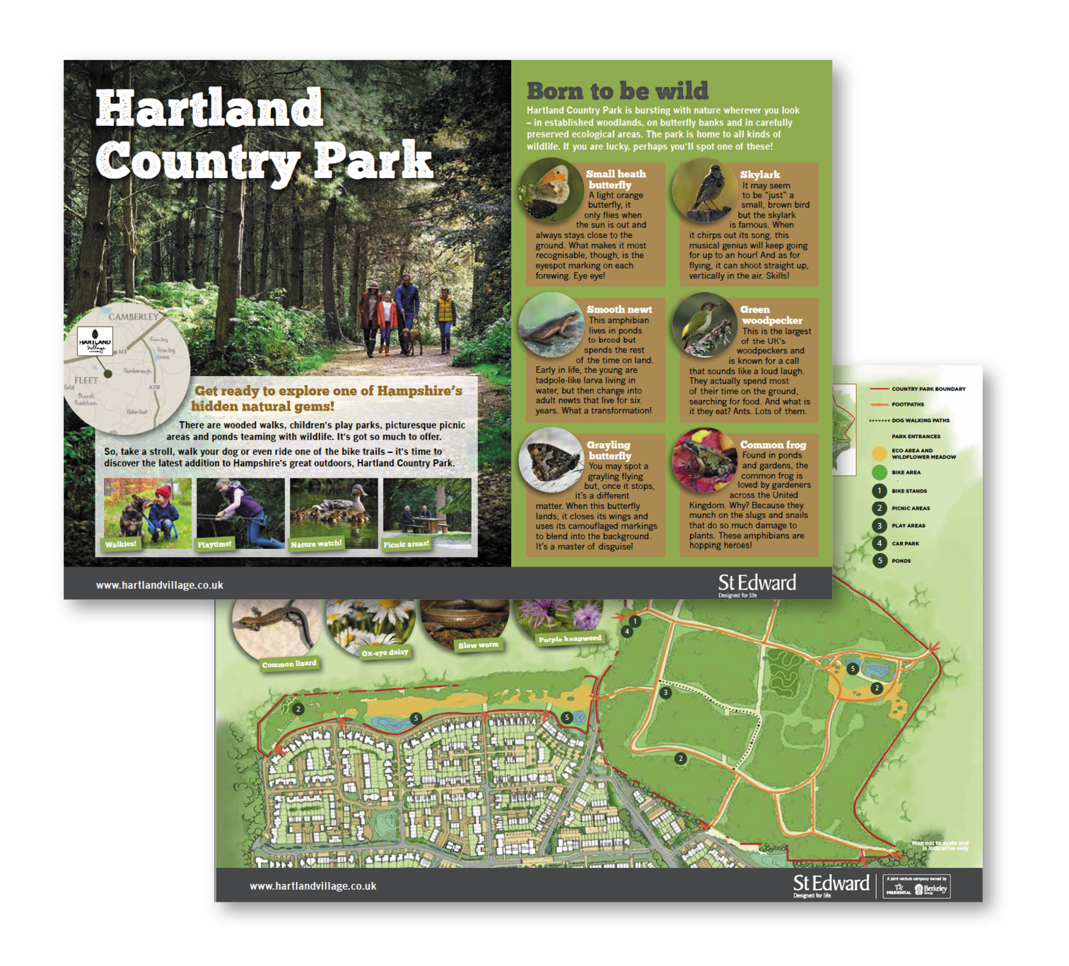 An activity sheet for children for a site owned by St Edward, part of the Berkeley Group.